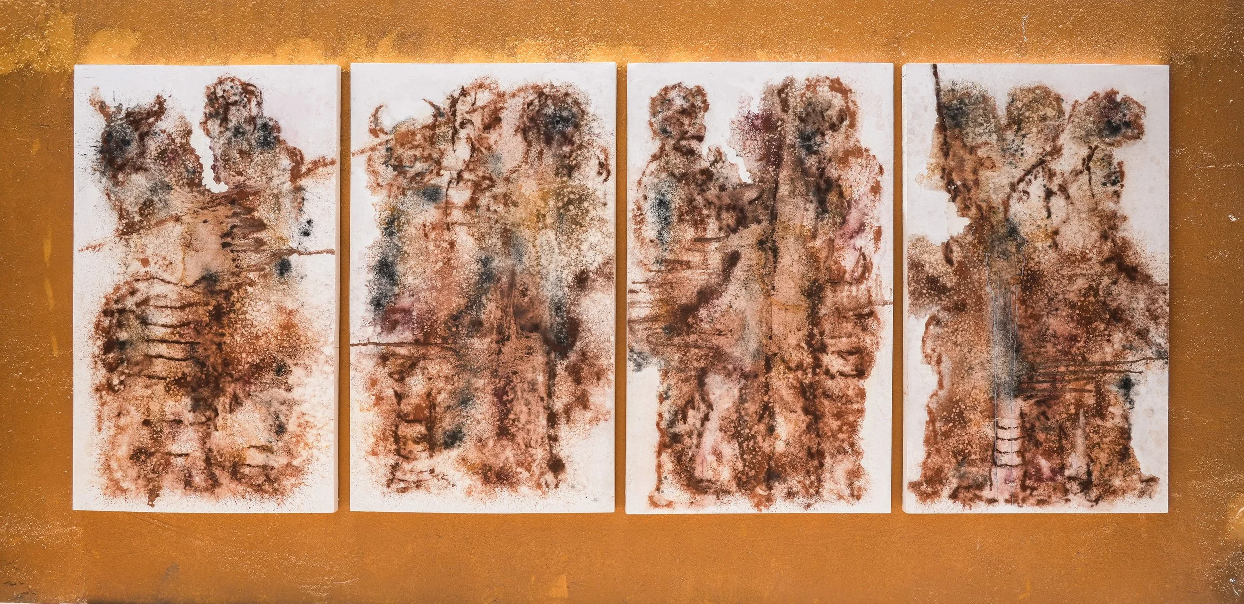 Installation View:  Pélerinage , Maison Oussmane Sow, Dakar, 2024. Courtesy of the artist & OH GALLERY.