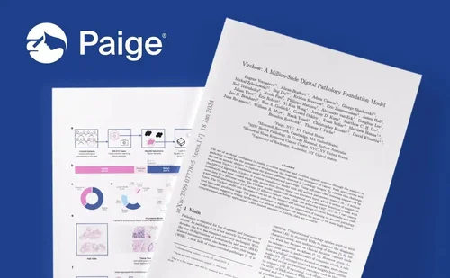 The Virchow Foundation Model, Explained: A Q&A with an AI Scientist