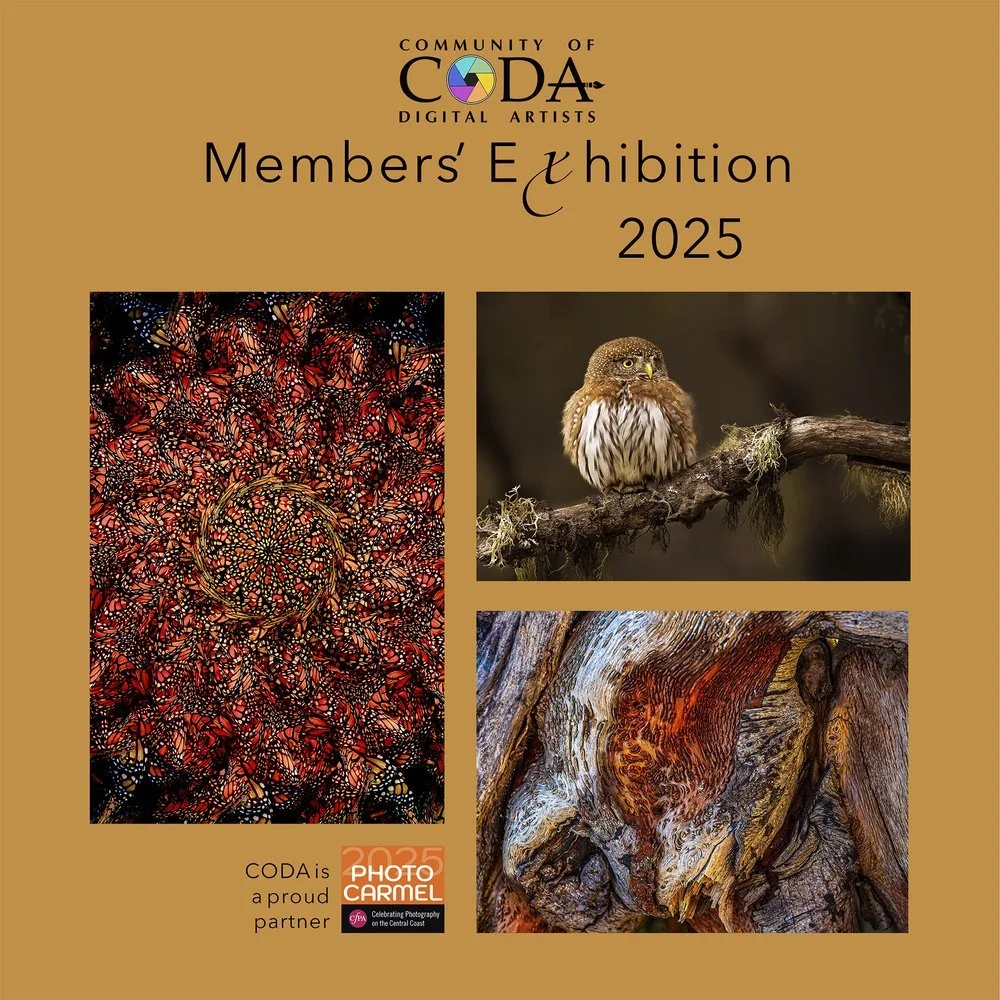 CODA Exhibition 2026
