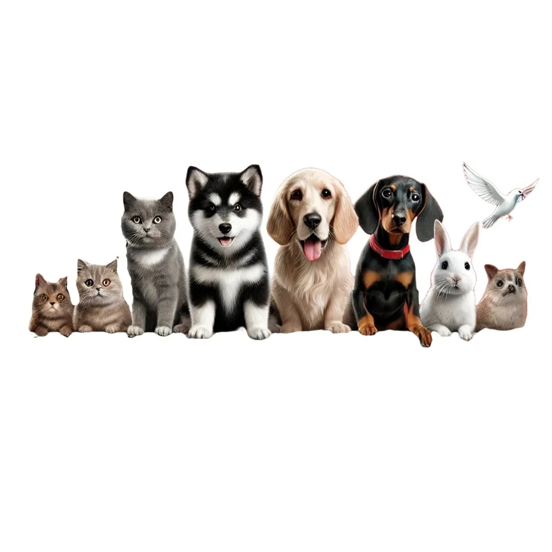 Illustration of various pets lined up, including three cats, a husky puppy, a golden retriever, a dachshund, a white rabbit, and a white bird.