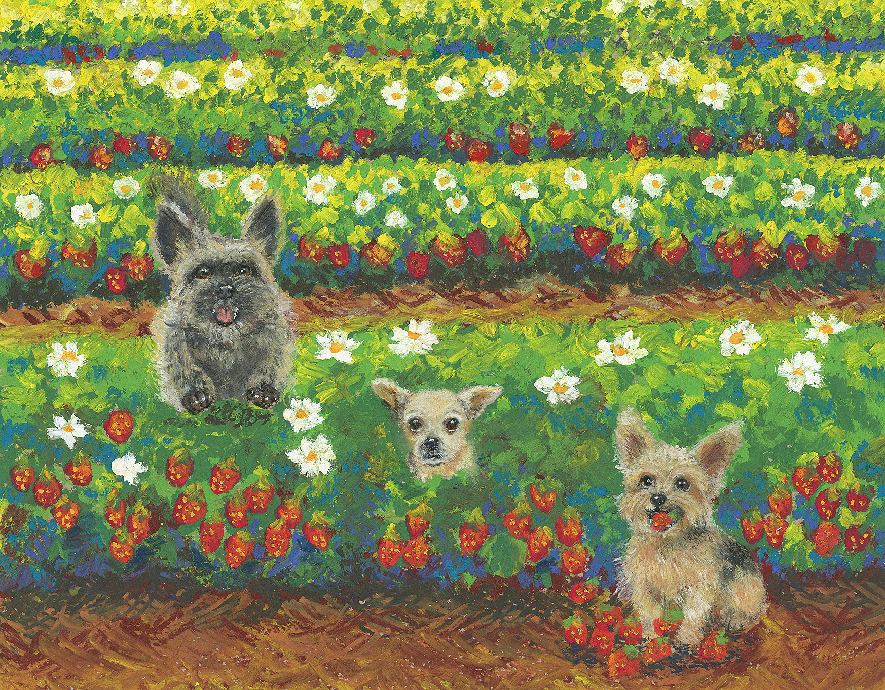 Reiko, Nami, and MoMo 