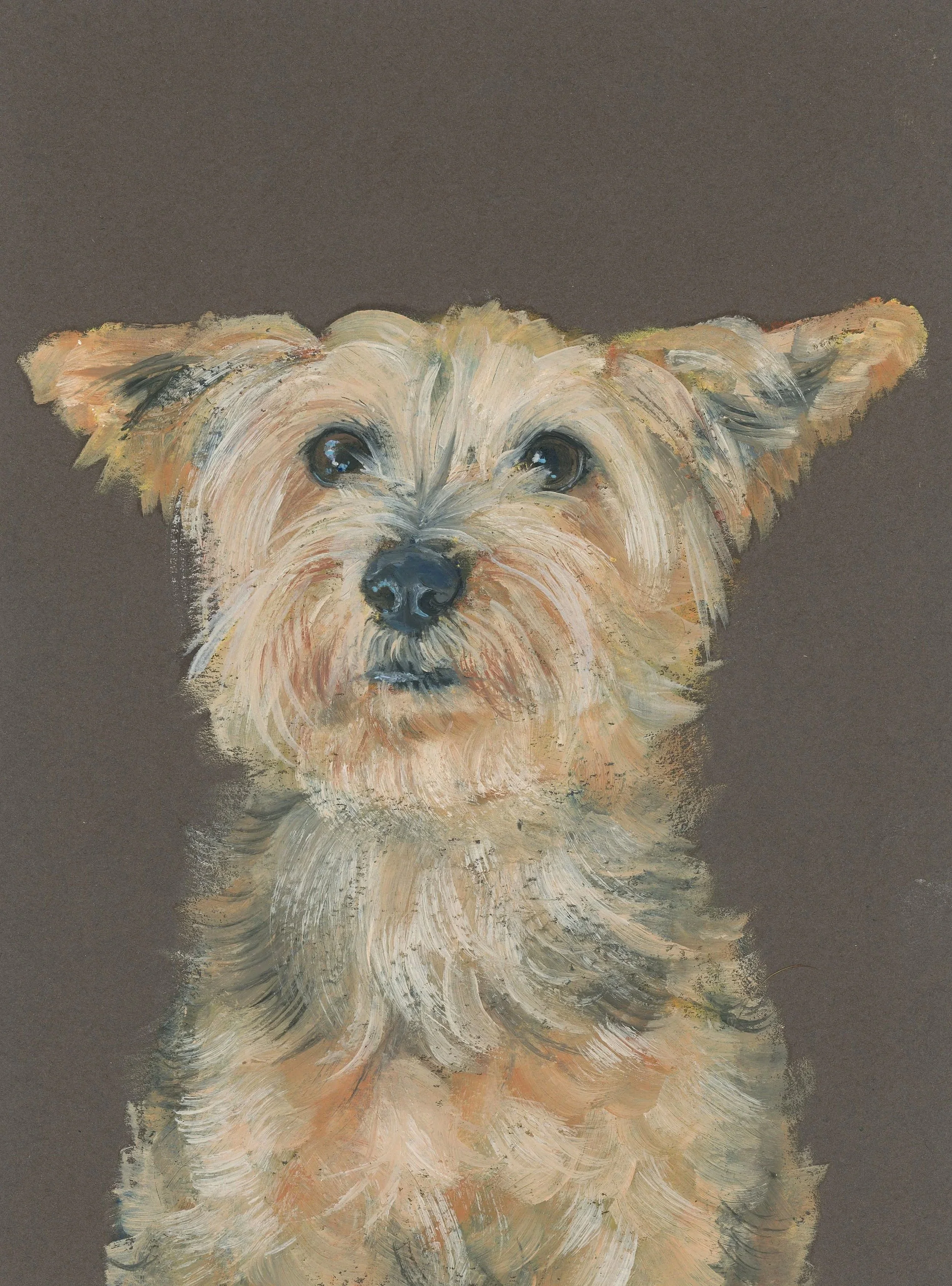 Riley