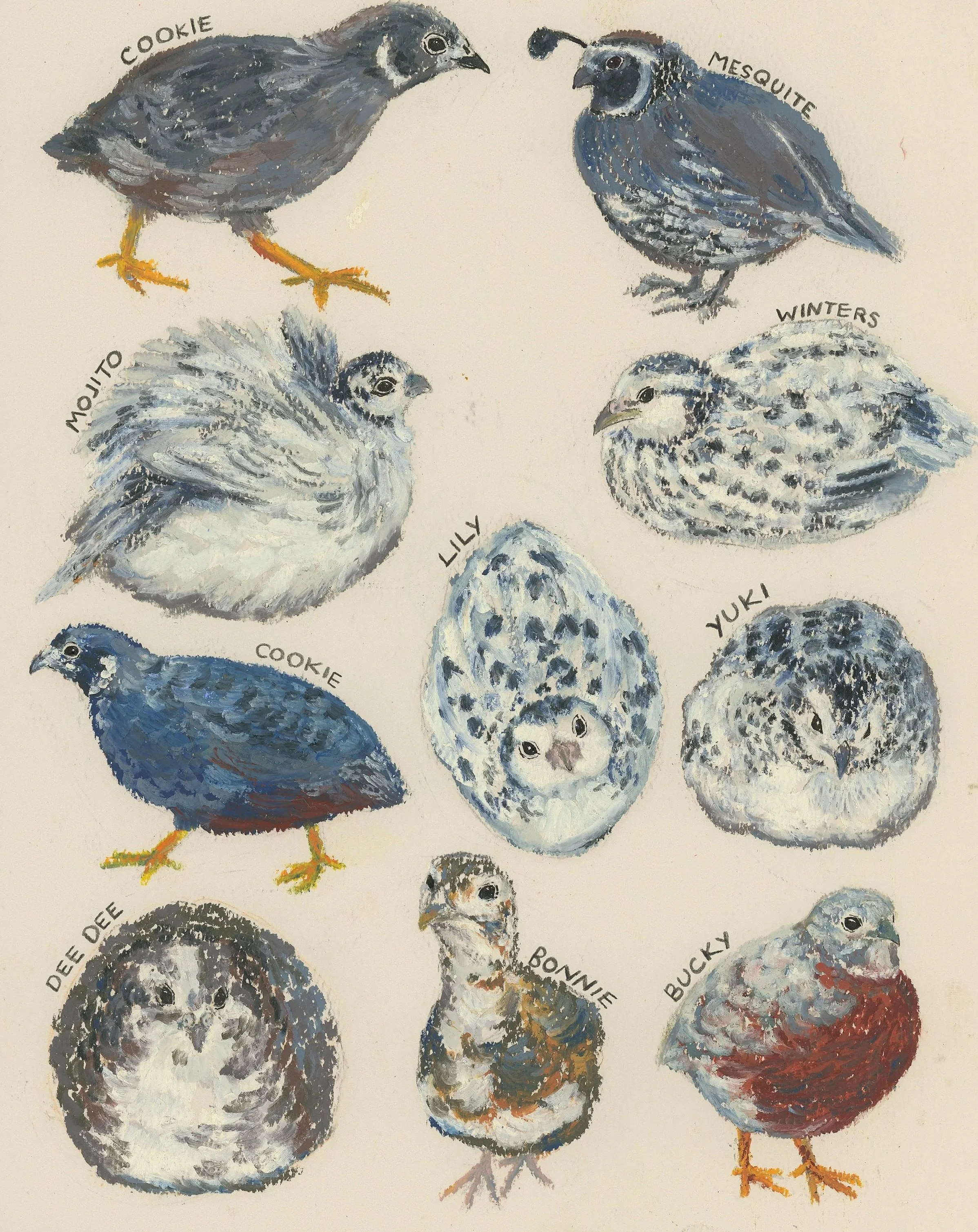 Family of Quails