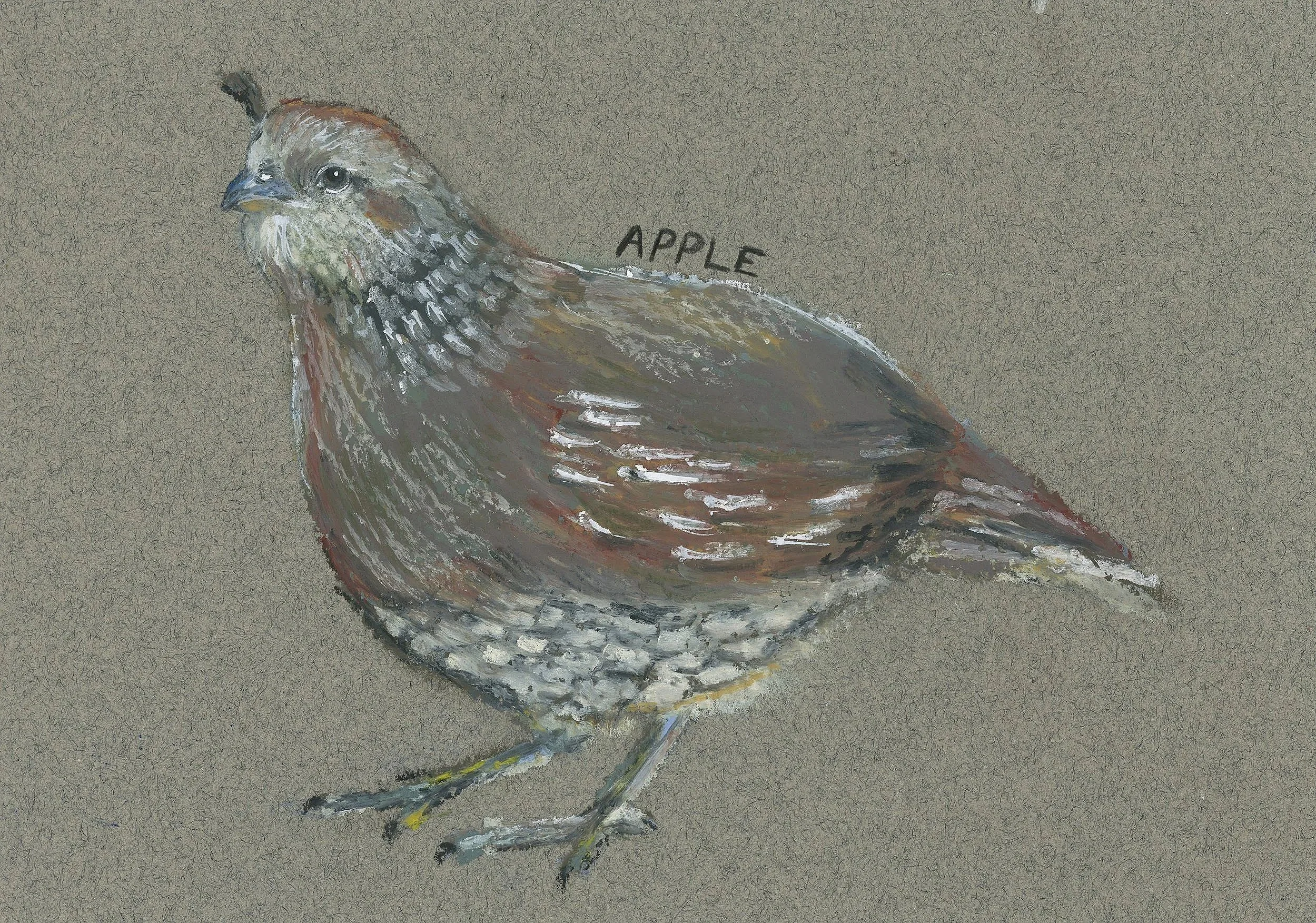 Apple