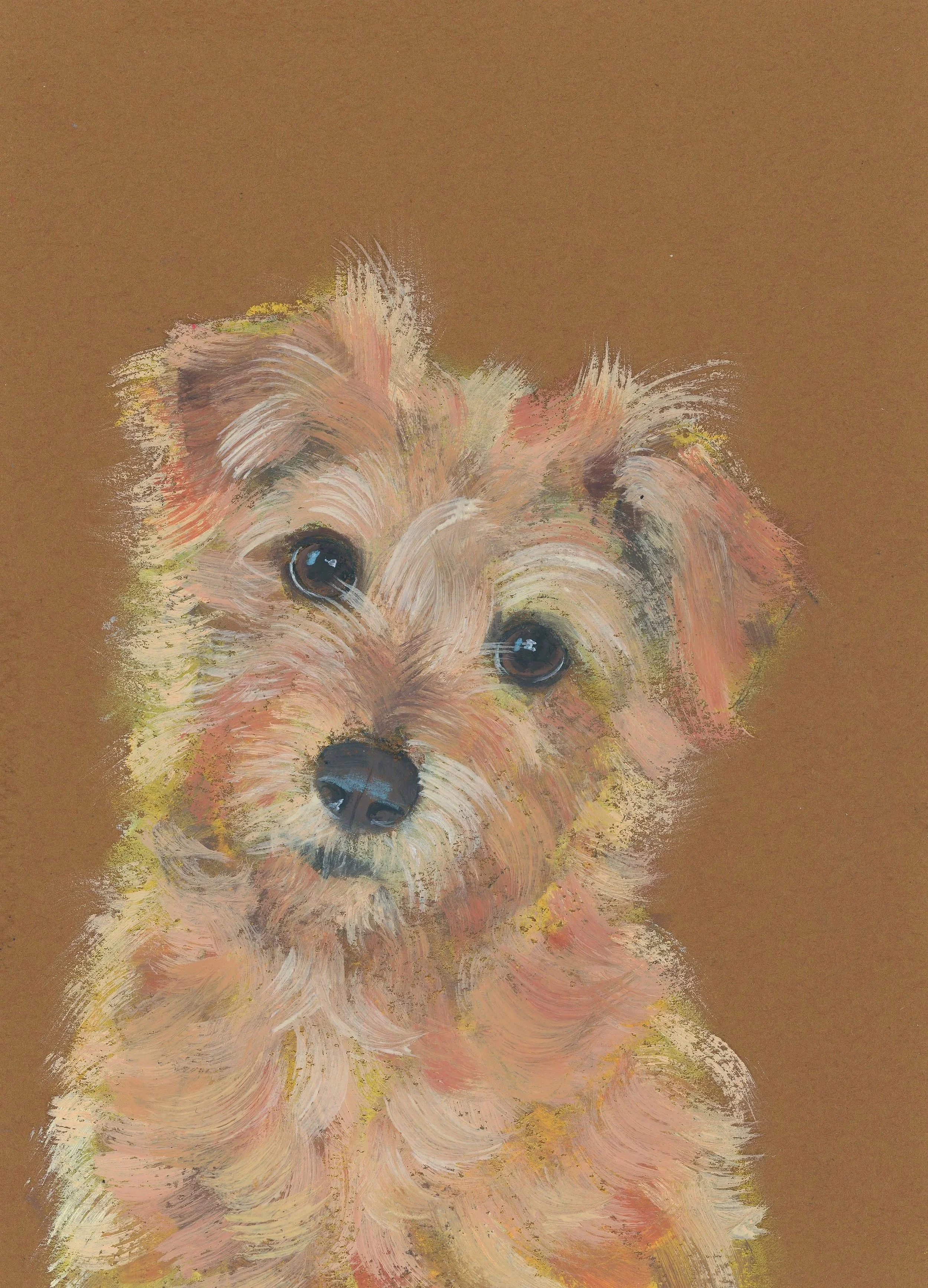 Biscuit