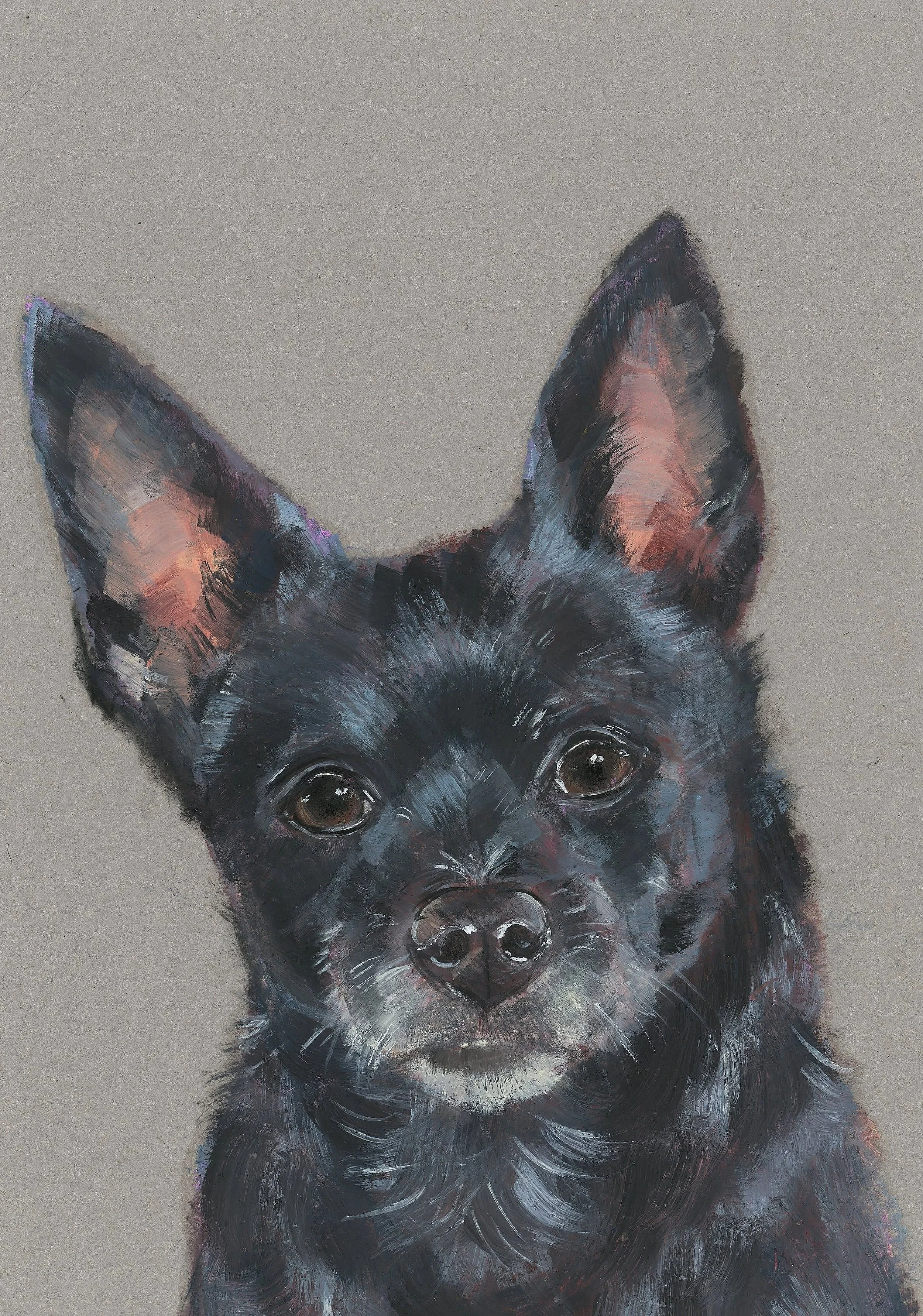 Pixie
