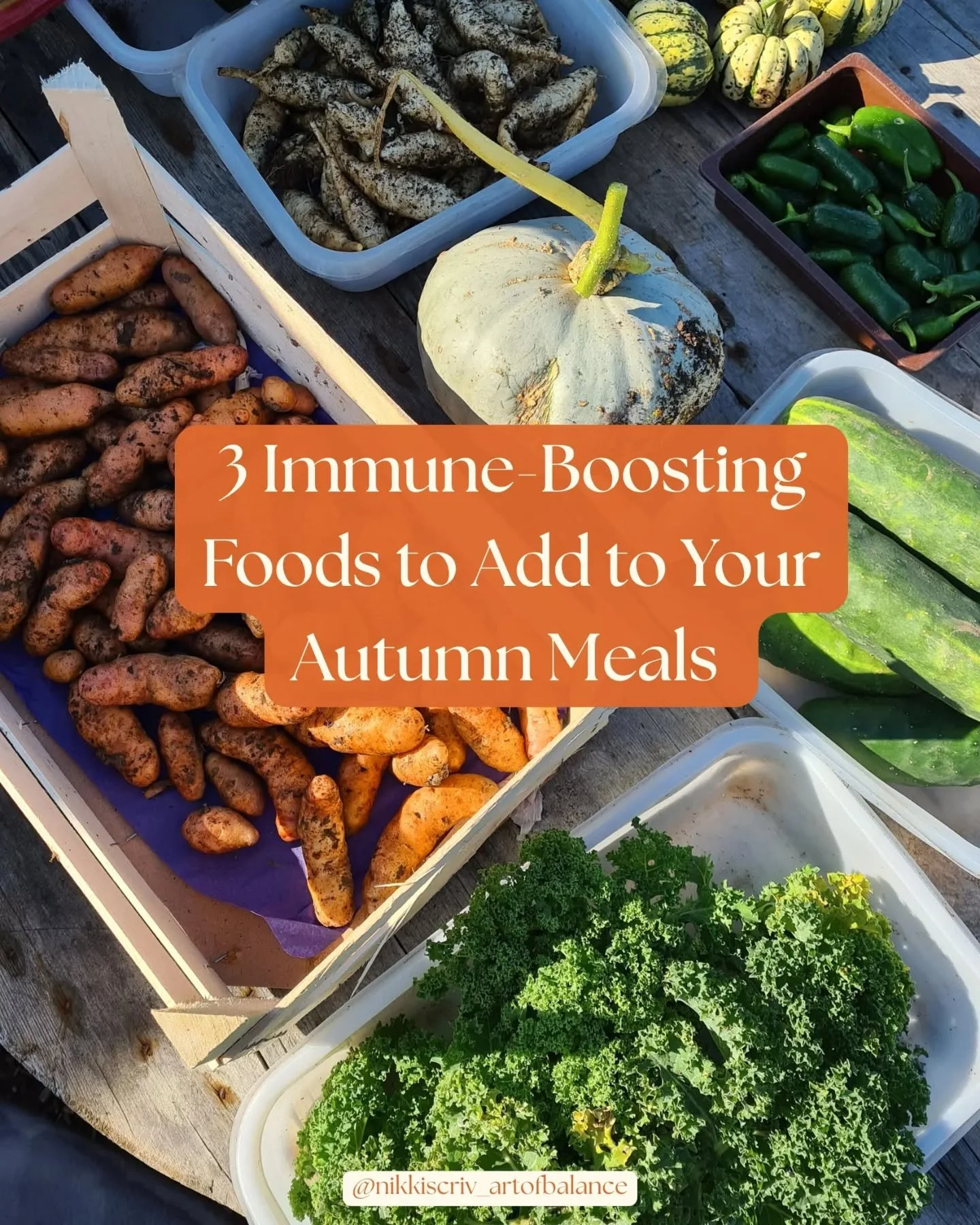 Fed up of getting sick as soon as autumn arrives? 🍂 As the days get shorter and the weather cools, our immune system could use a little extra support - and what better way than through seasonal, nutrient-packed foods? 

Here are three autumnal super