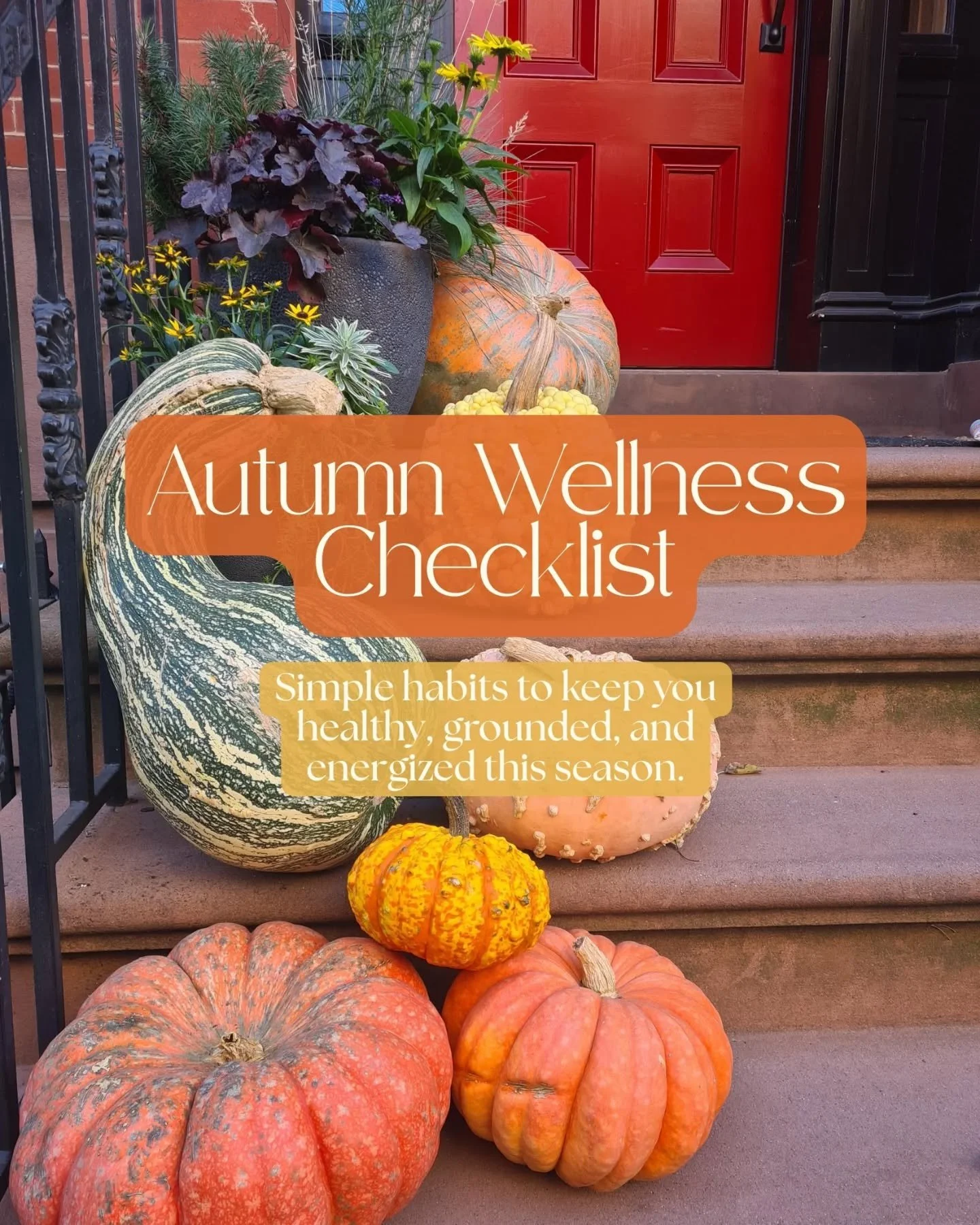 🍂 Autumn is here, and a few simple habits can keep you feeling energised and grounded.

Eat seasonal produce, catch some morning light, and add warming spices to your meals. Small changes can have a big impact on your mood, energy, and immunity.

Wh