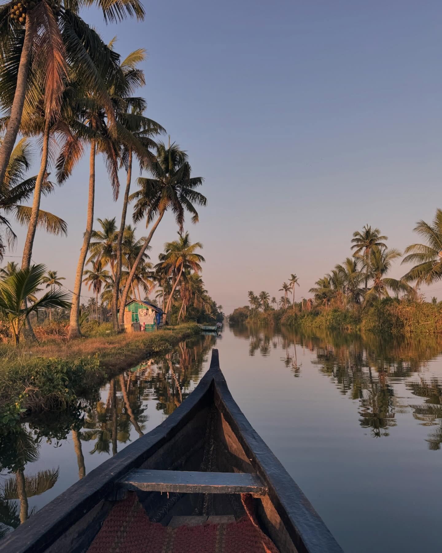 First few weeks in India 🇮🇳 🪷

At the end of 2025, I stepped away from fifteen years of work to pursue a new career. Before embarking fully on this new adventure I have decided to take a real break in order to slow down and reset - and so here beg