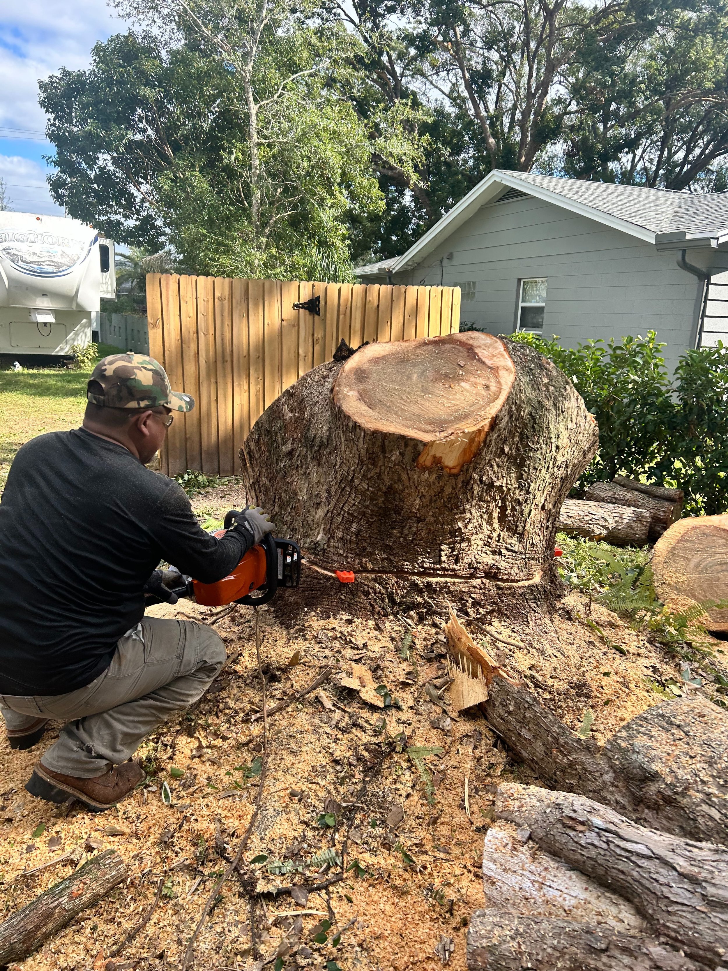 Stump.jpg