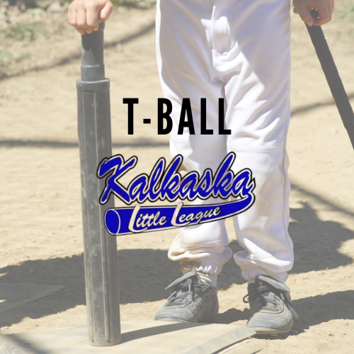 T-Ball (ages 4-6)