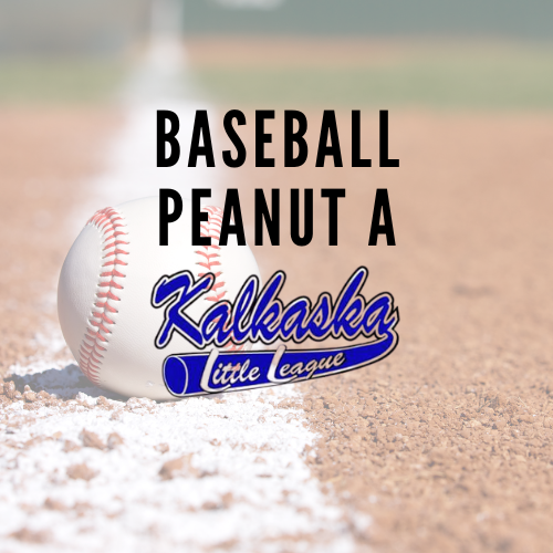 Baseball Peanut A (ages 9-10)
