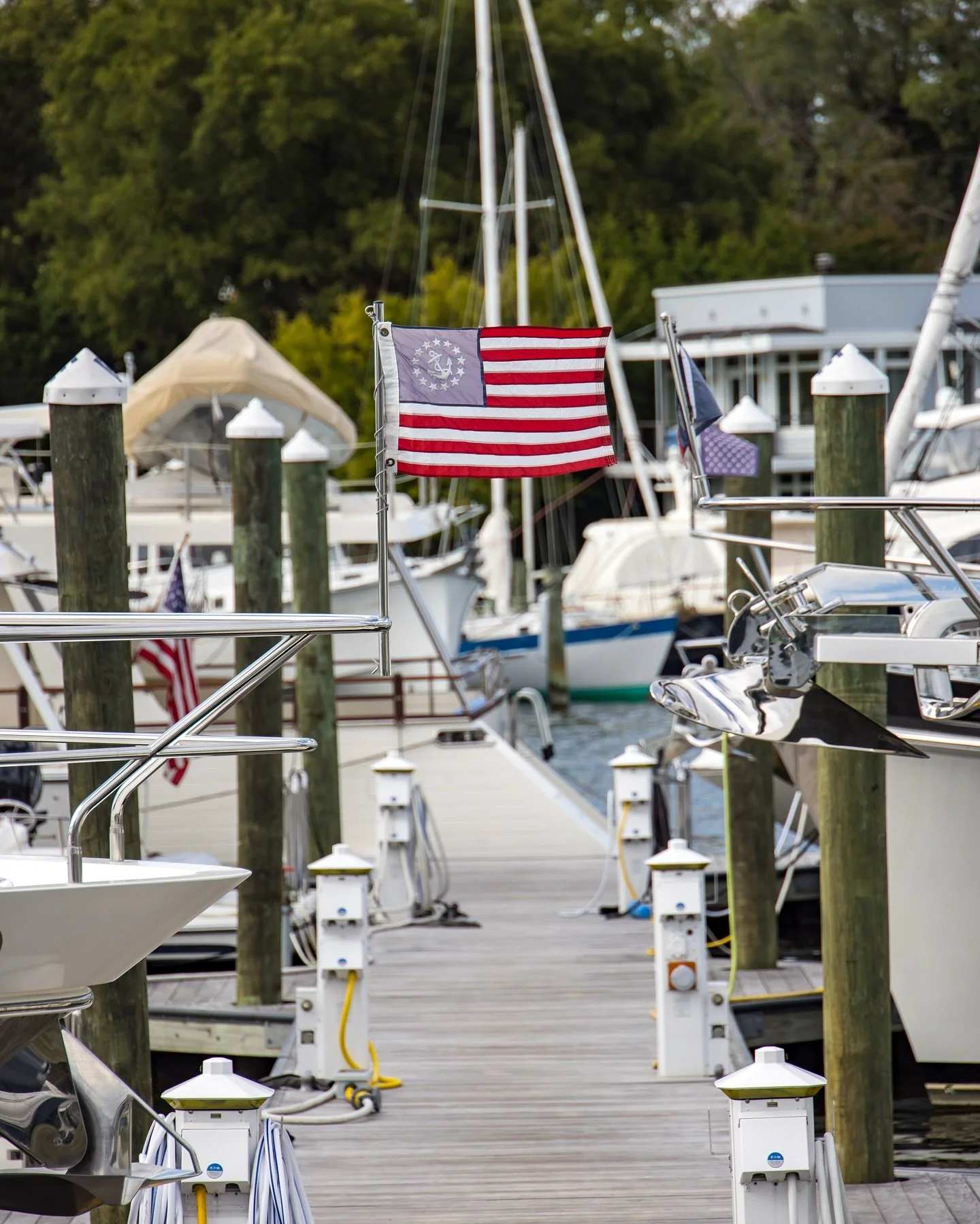 Happy 4th of July from South Annapolis Yacht Centre! 🇺🇸⚓️

#lifeatsayc #modernmarina #marinalife #docklife #slipholder #annapolis #annapolismd #maryland #4thofjuly #americana