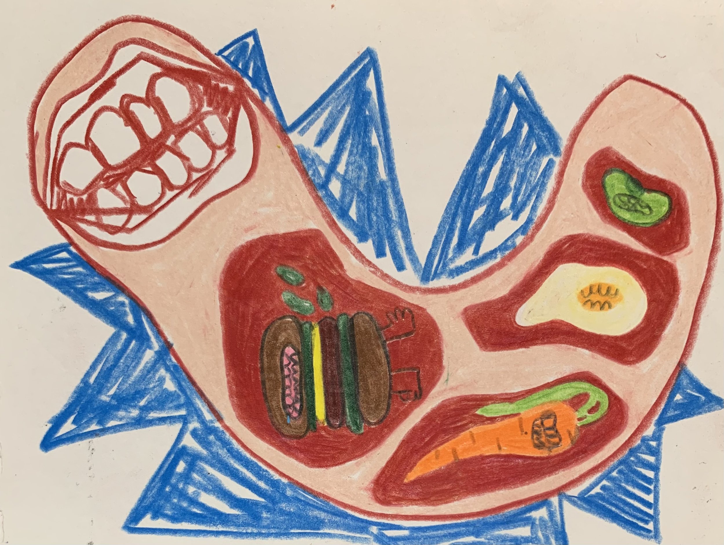 Stomach (14.8 x 20 cm)