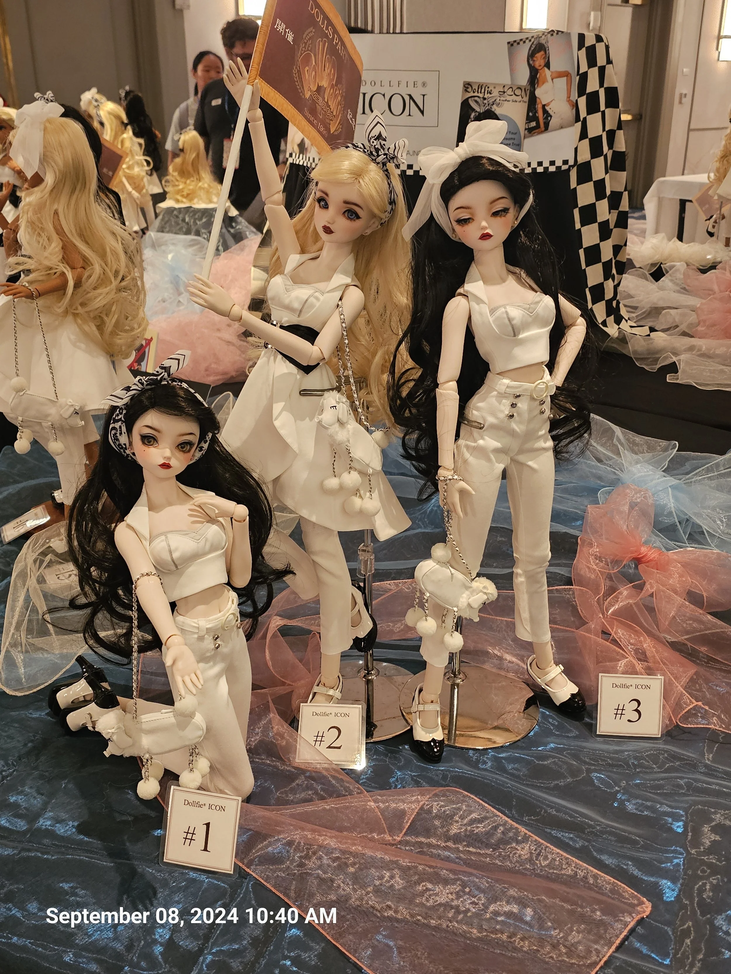 20240908_104003.jpg
