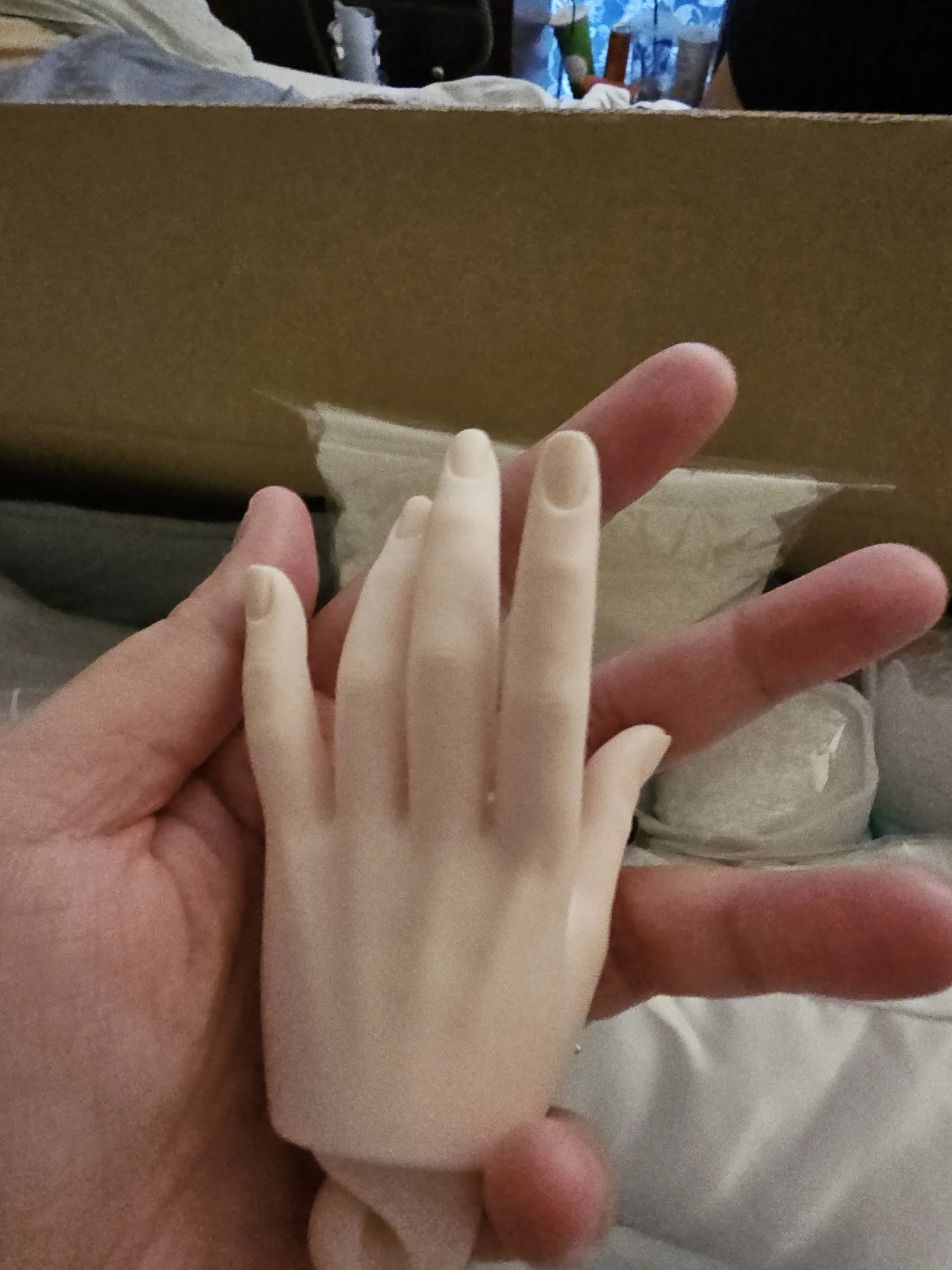 20241021_134653.jpg