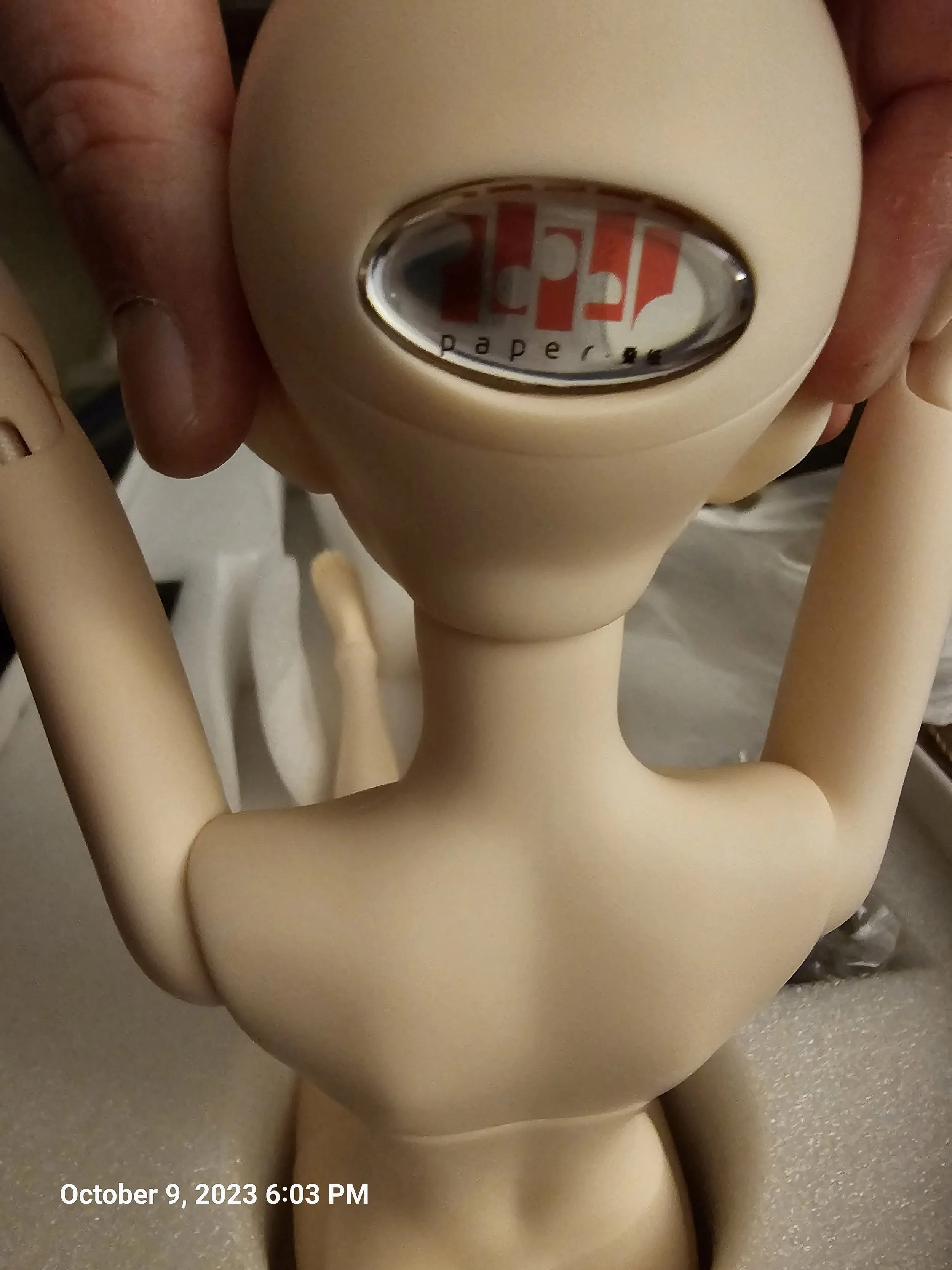 20231009_180352.jpg