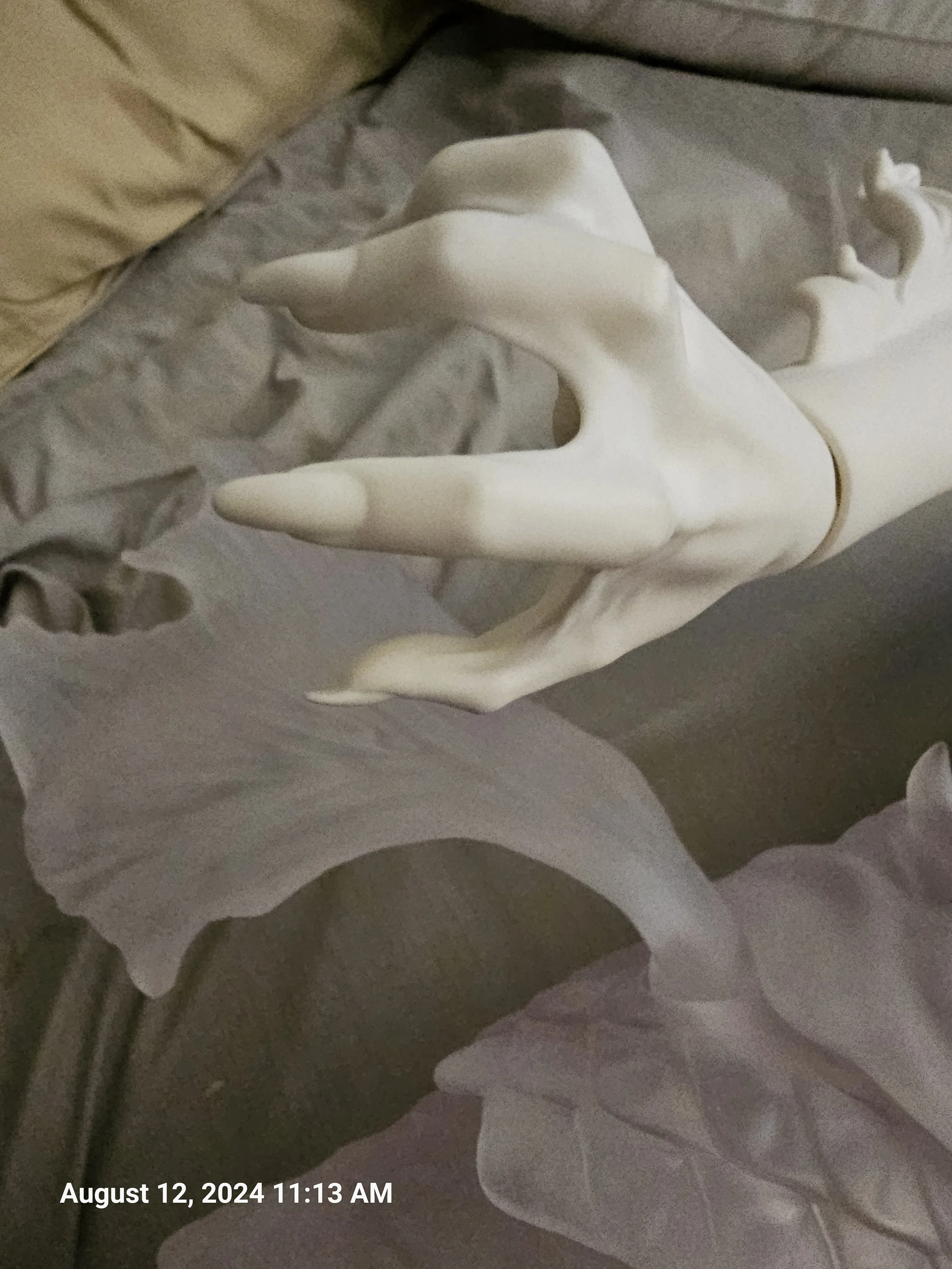 20240812_111325.jpg