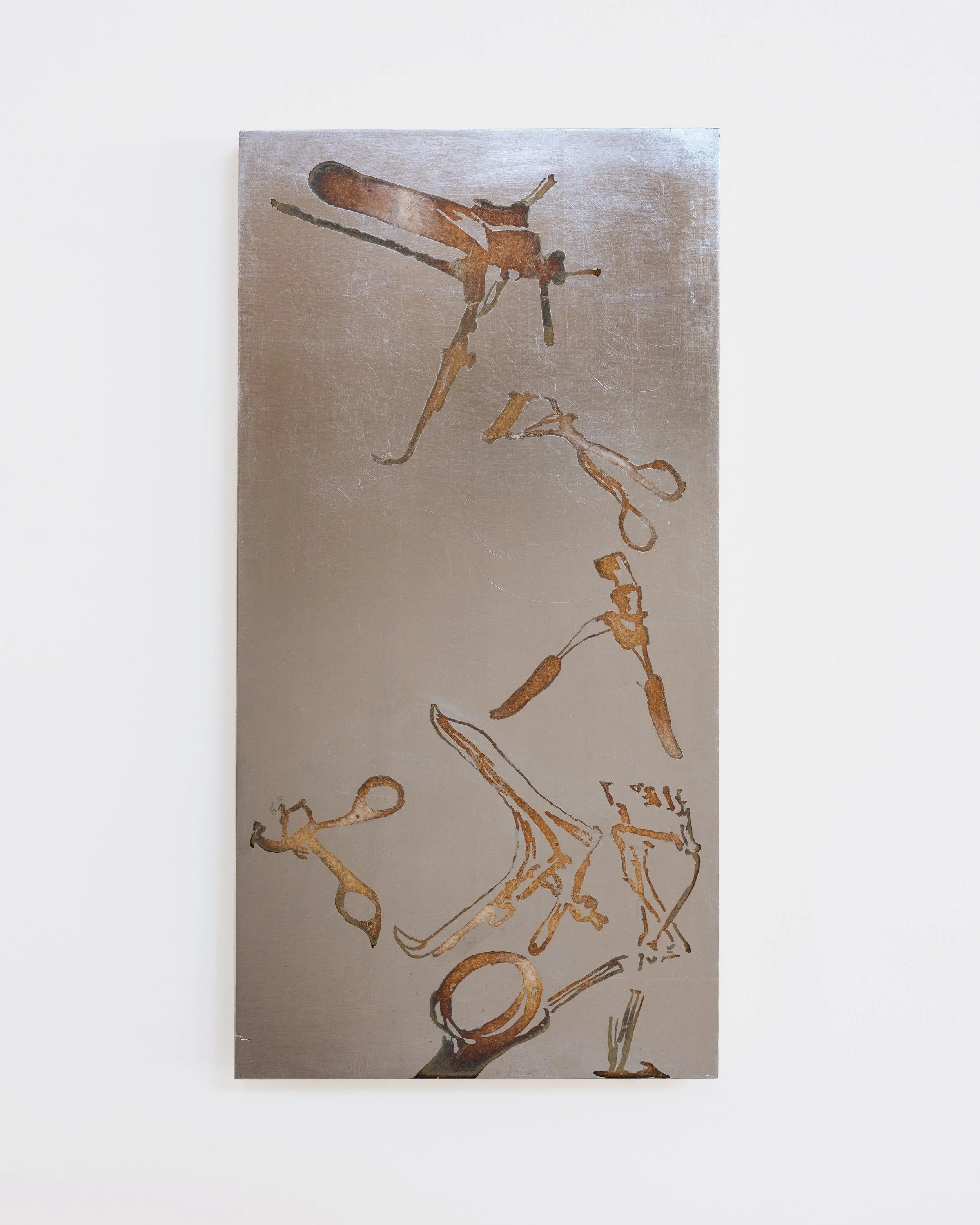 Speculums/Eyelash Curlers, 
10 x 20 in (25.4 x 50.8 cm)