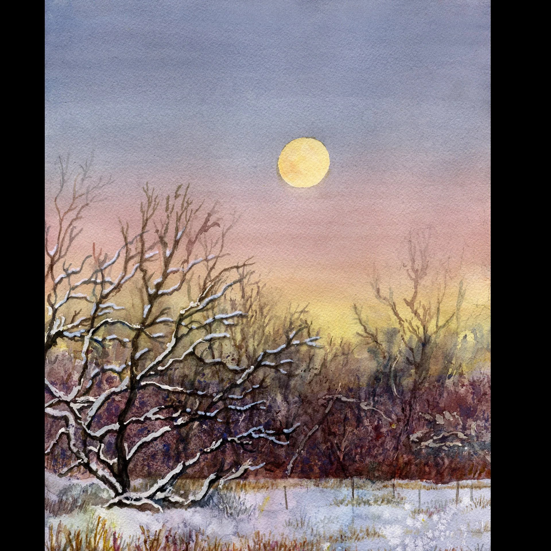 Anne Gifford