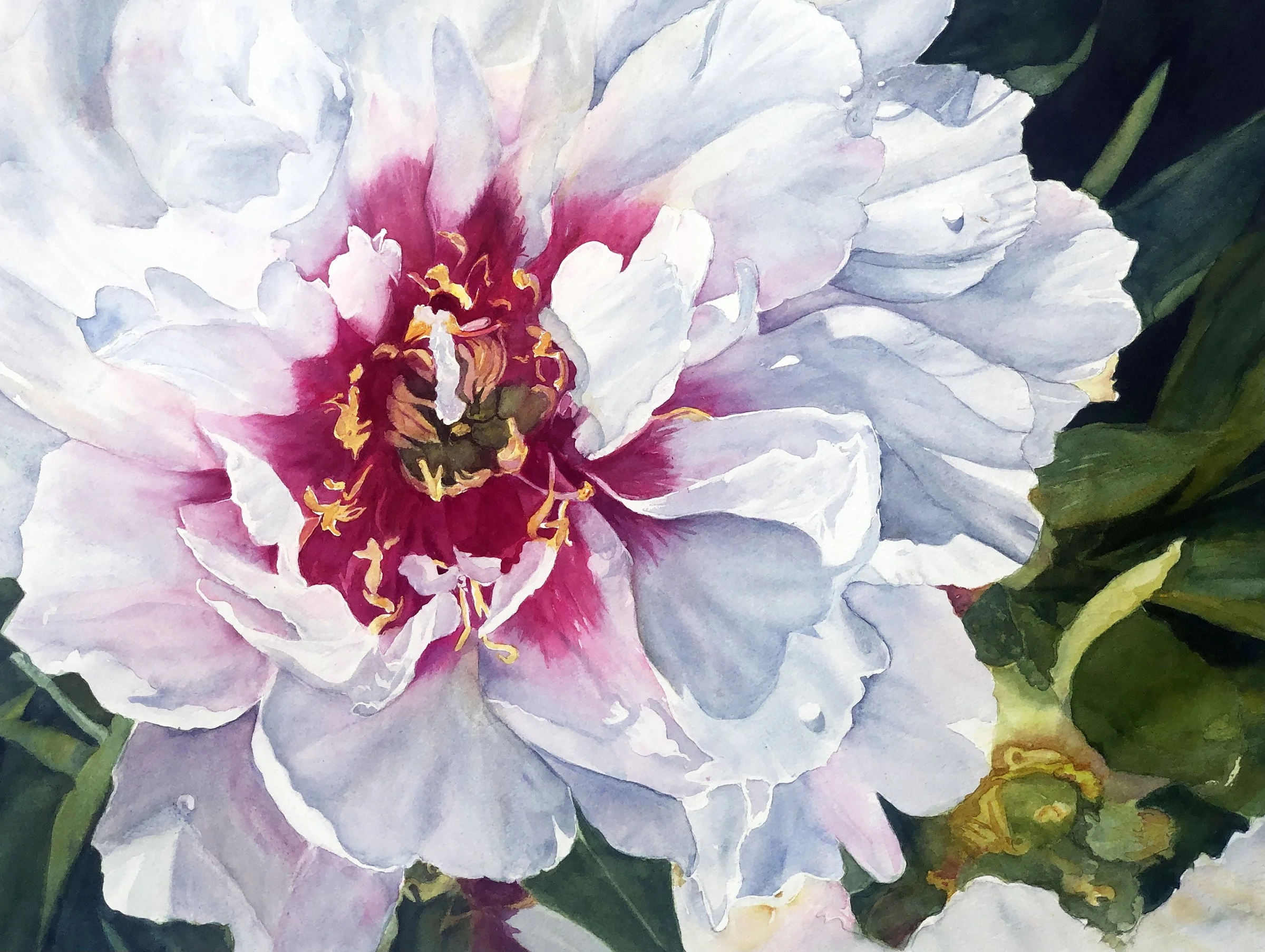 Annie Thayer