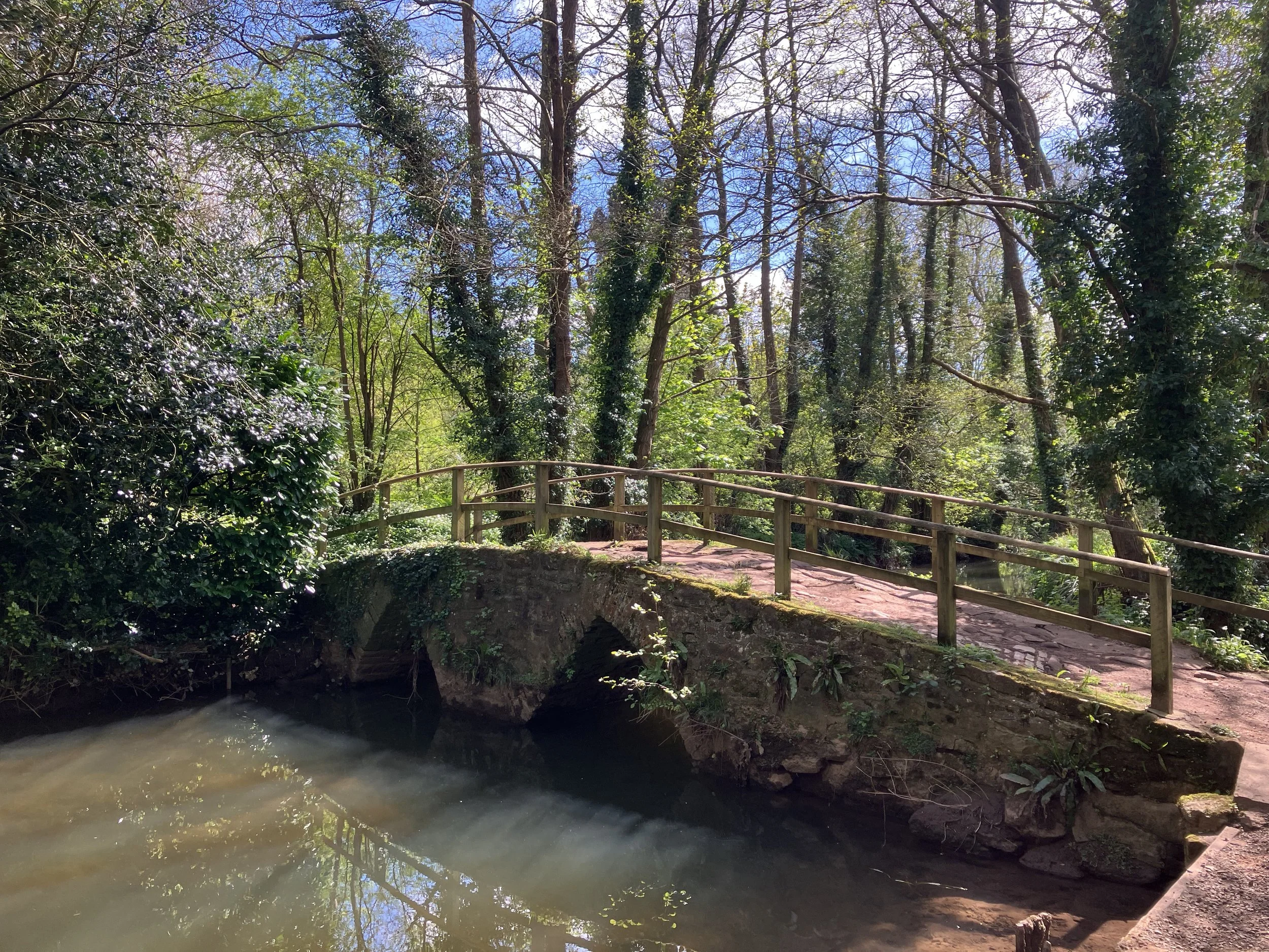 Chew Magna Spring Walk