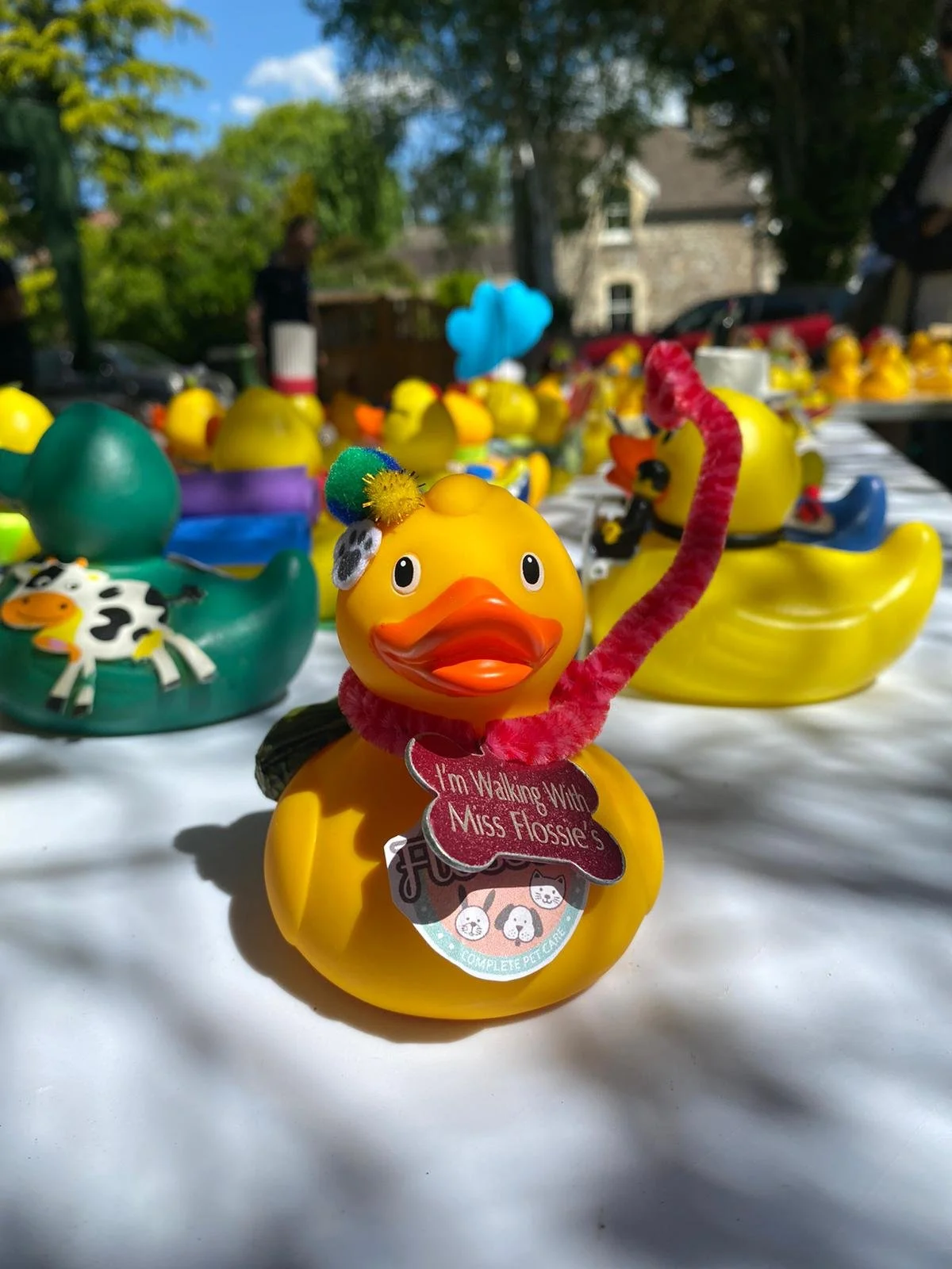 PHOTO-2025-05-10-12-06-16 2.jpg