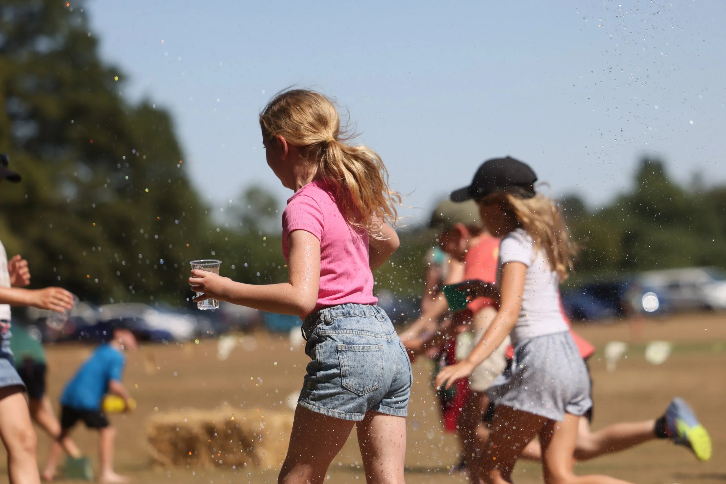 Party in the Paddock