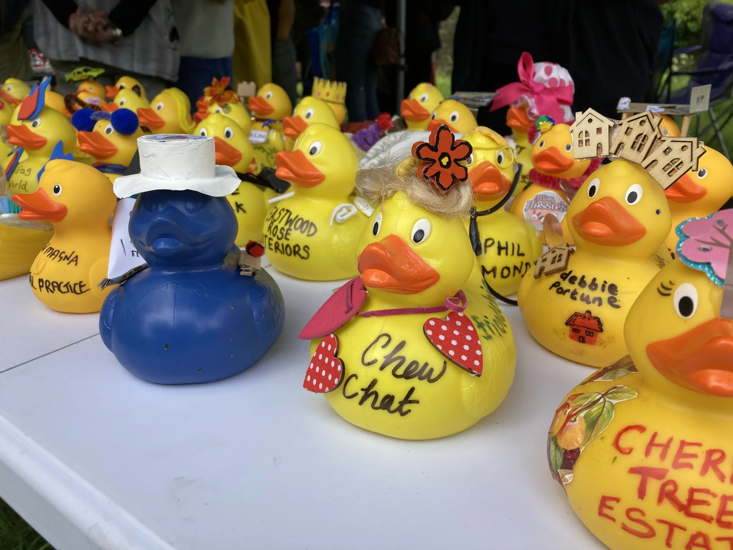 Duck Race6.jpeg
