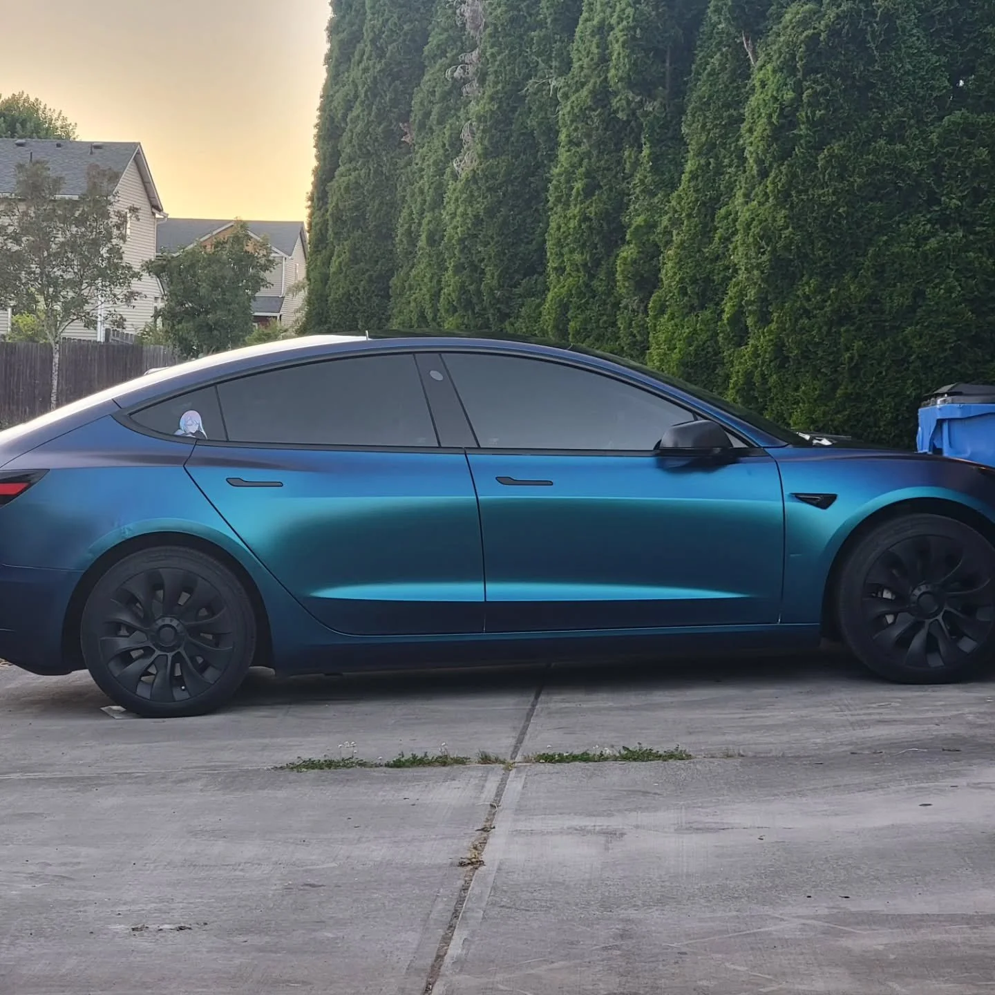 Tesla Model 3 wrapped in #averydennison Satin Frozen Ocean #carwrap #model3 #tesla #satinfrozenocean
