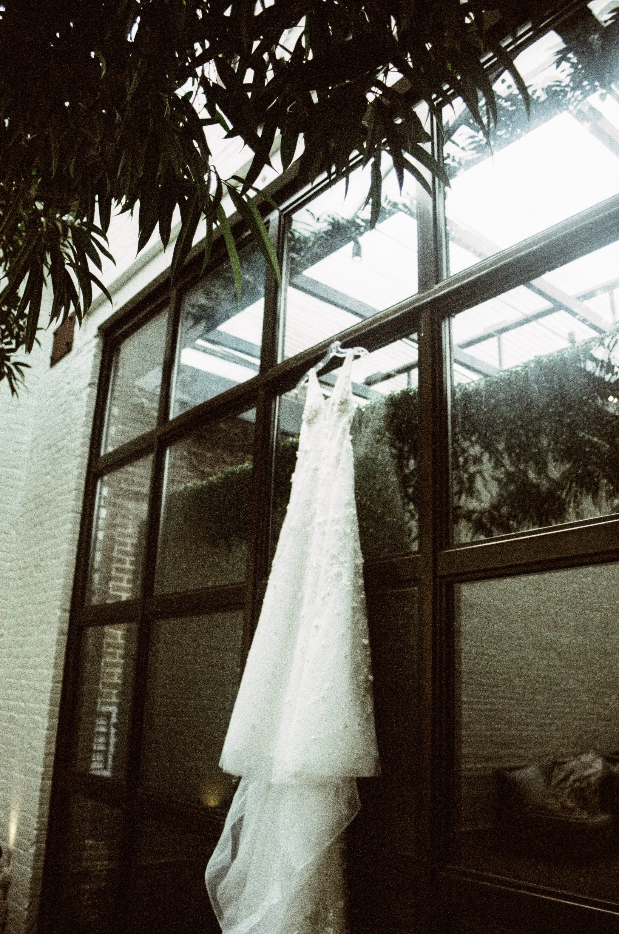 AlexDenise_2024-41 copy.jpg