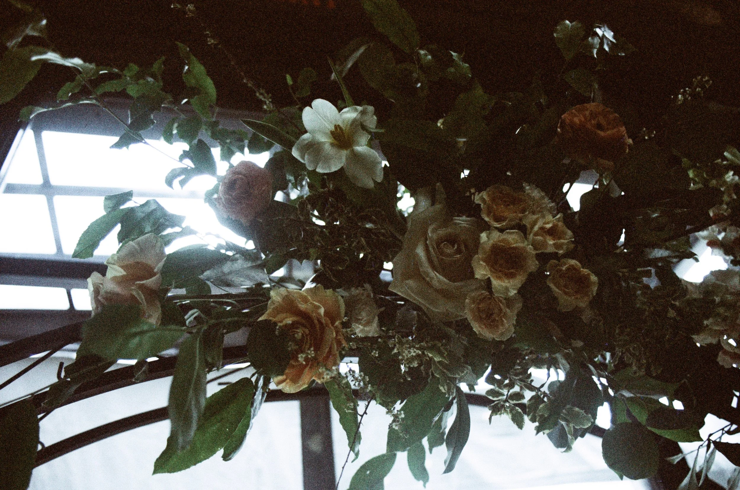 AlexDenise_2024-31 copy.jpg