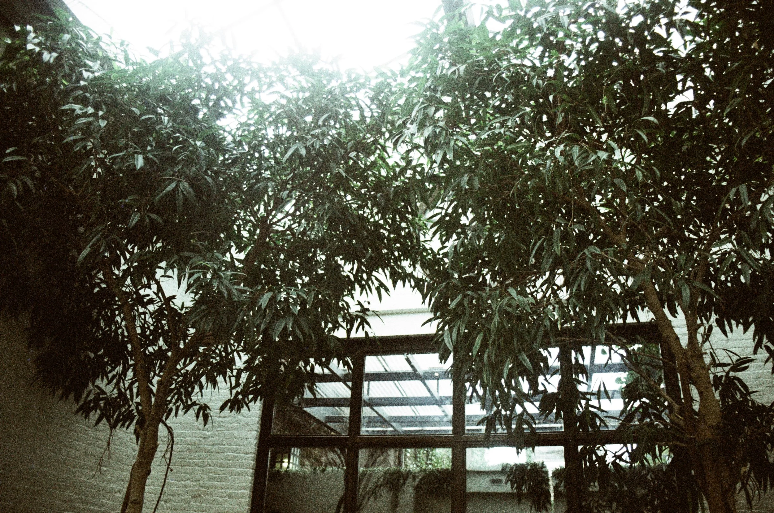 AlexDenise_2024-36 copy.jpg