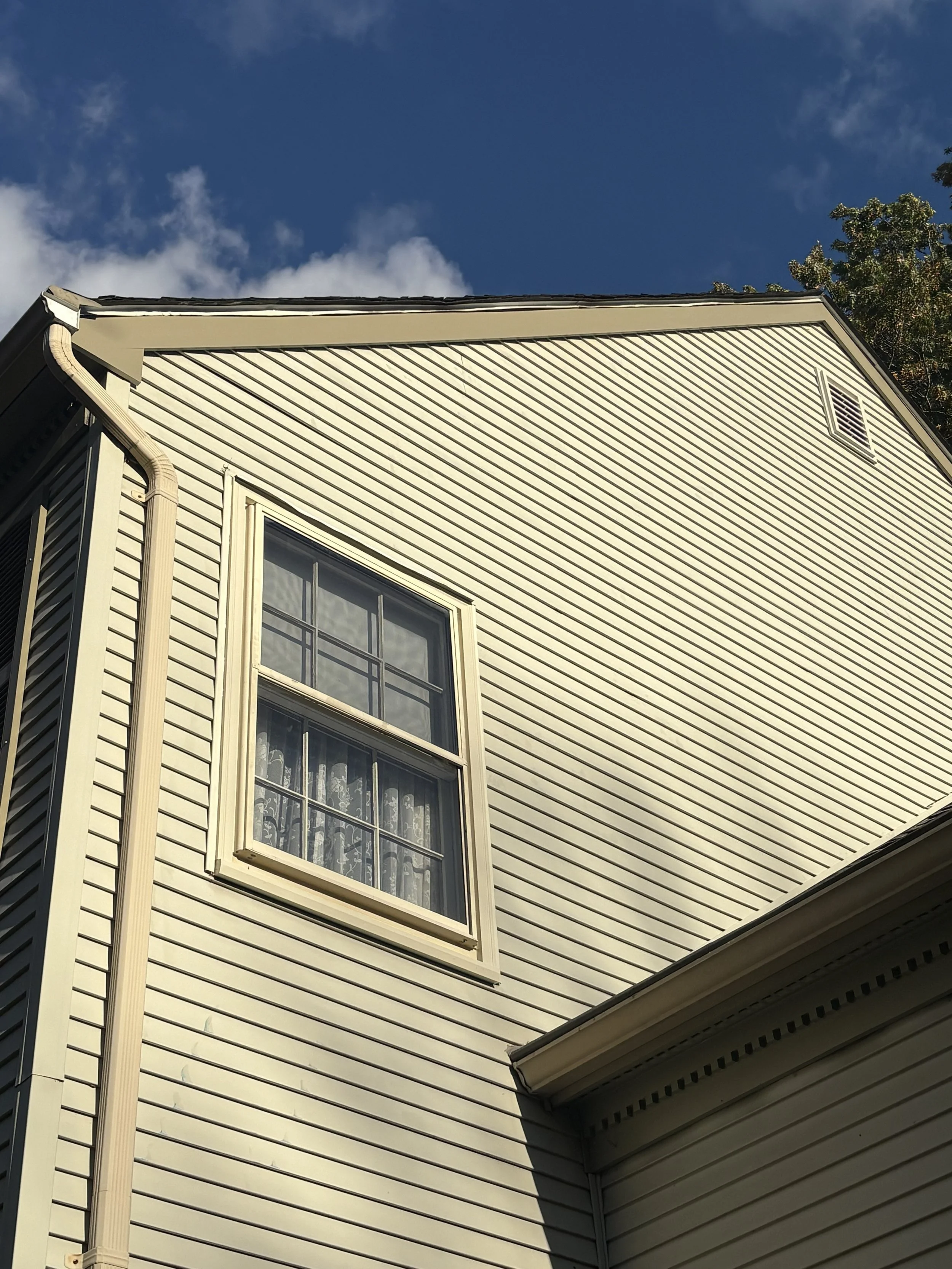 Rake and Rot After.jpg