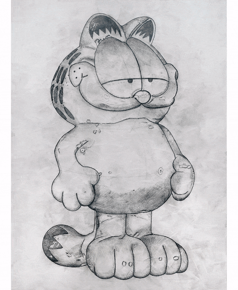 033_Garfield-INSTA-min.gif