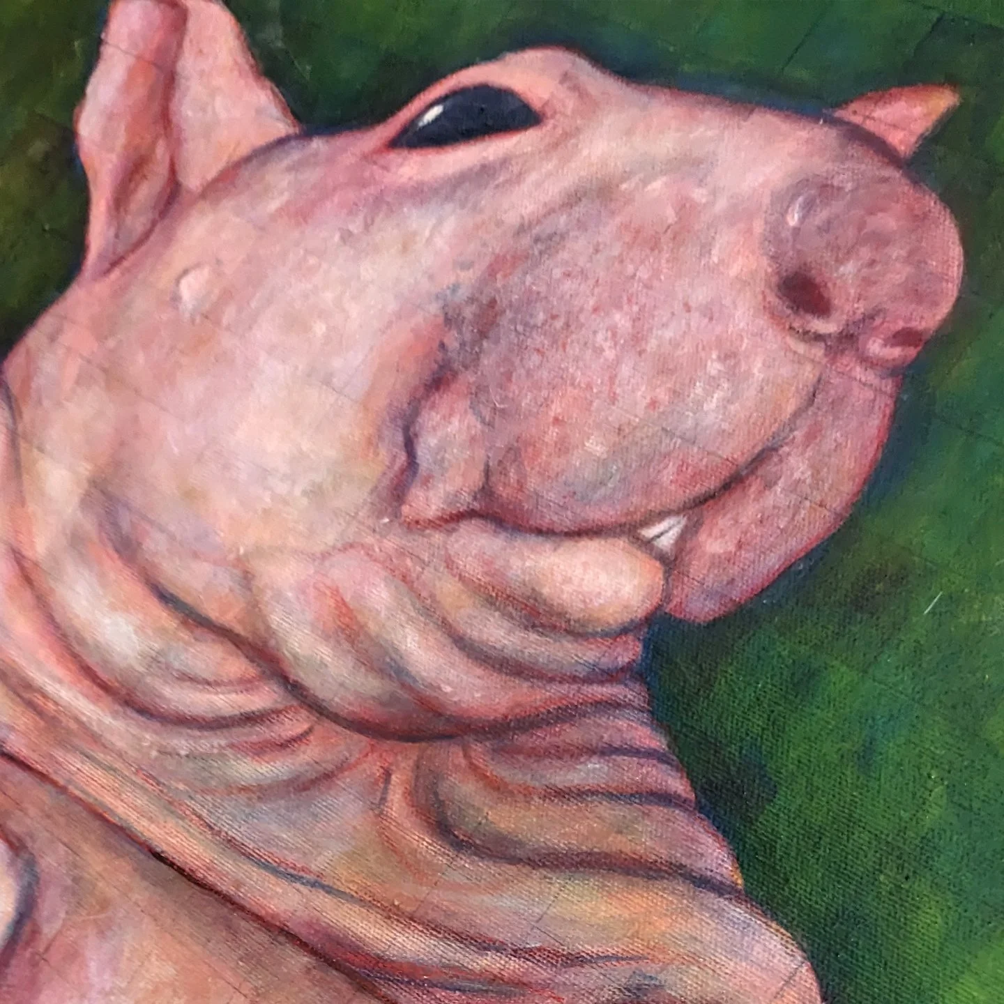 005_A_close-up-1.jpg