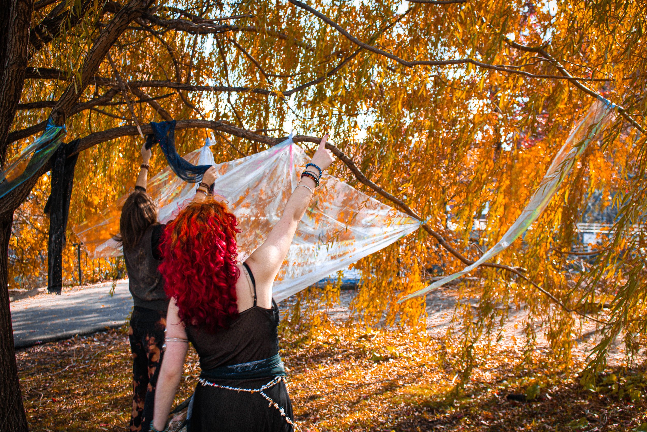 2025.11.8 GraceLionatoBand - ÁineLindsay-93.jpg