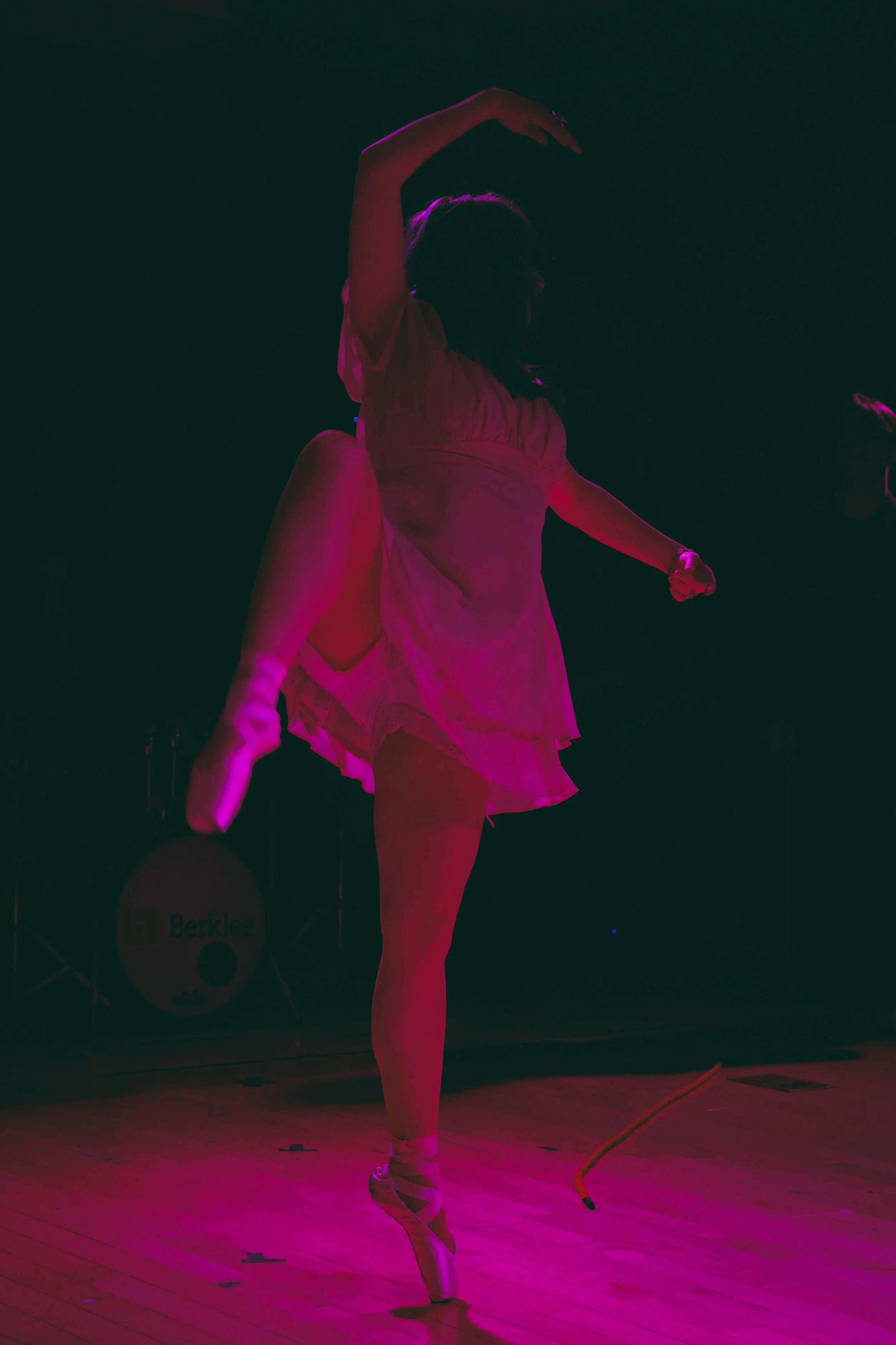 04292026_1984Bowie_AineLindsay_-23.jpg