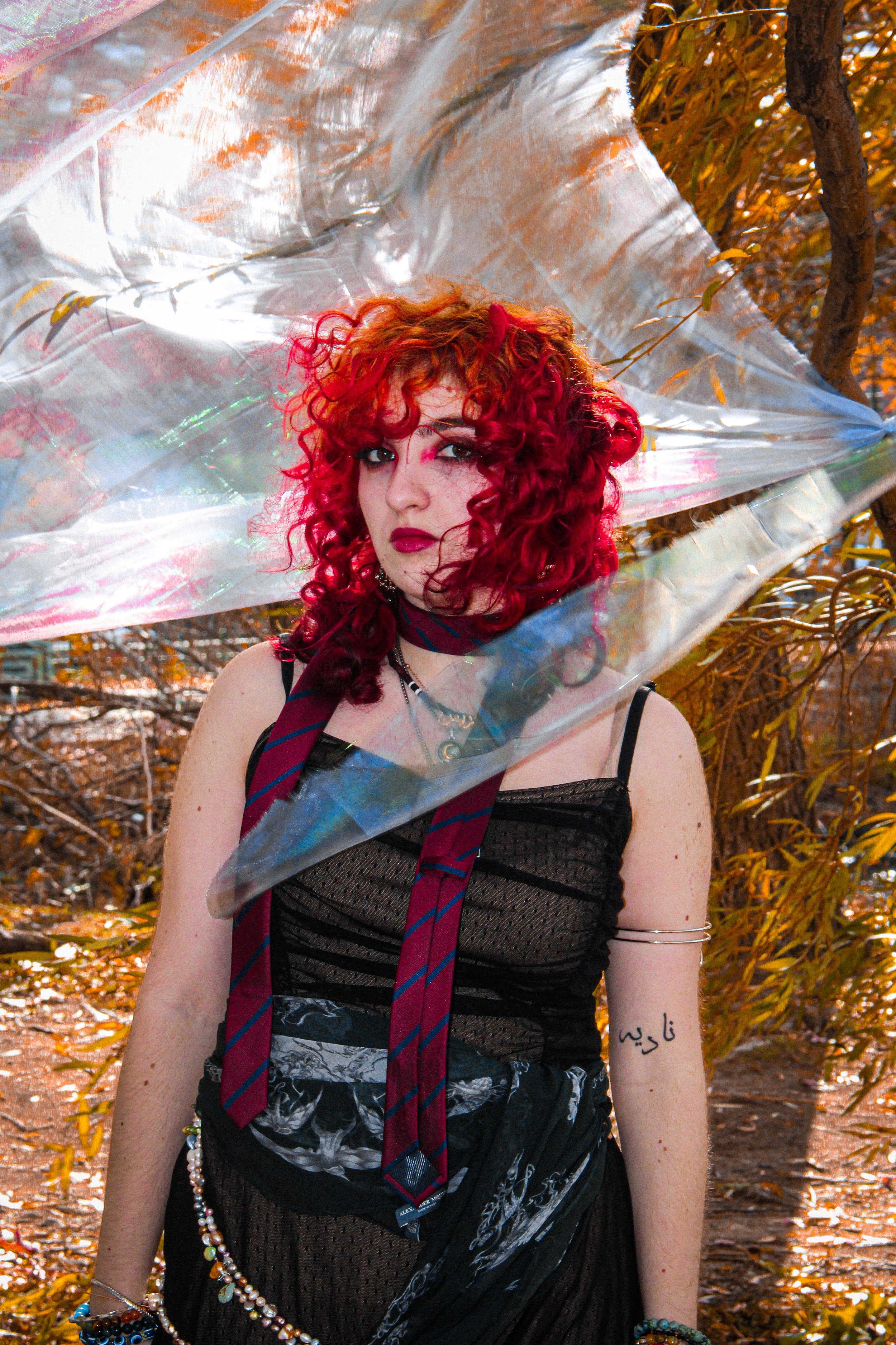 2025.11.8 GraceLionatoBand - ÁineLindsay-73.jpg