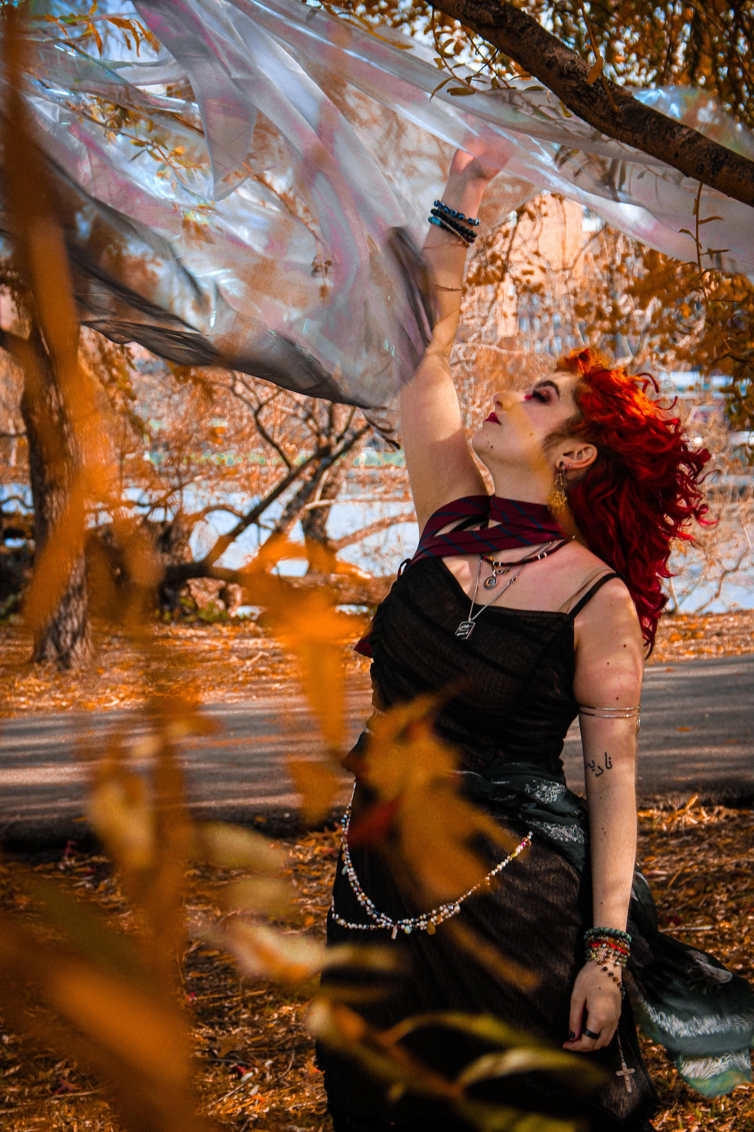 2025.11.8 GraceLionatoBand - ÁineLindsay-63.jpg