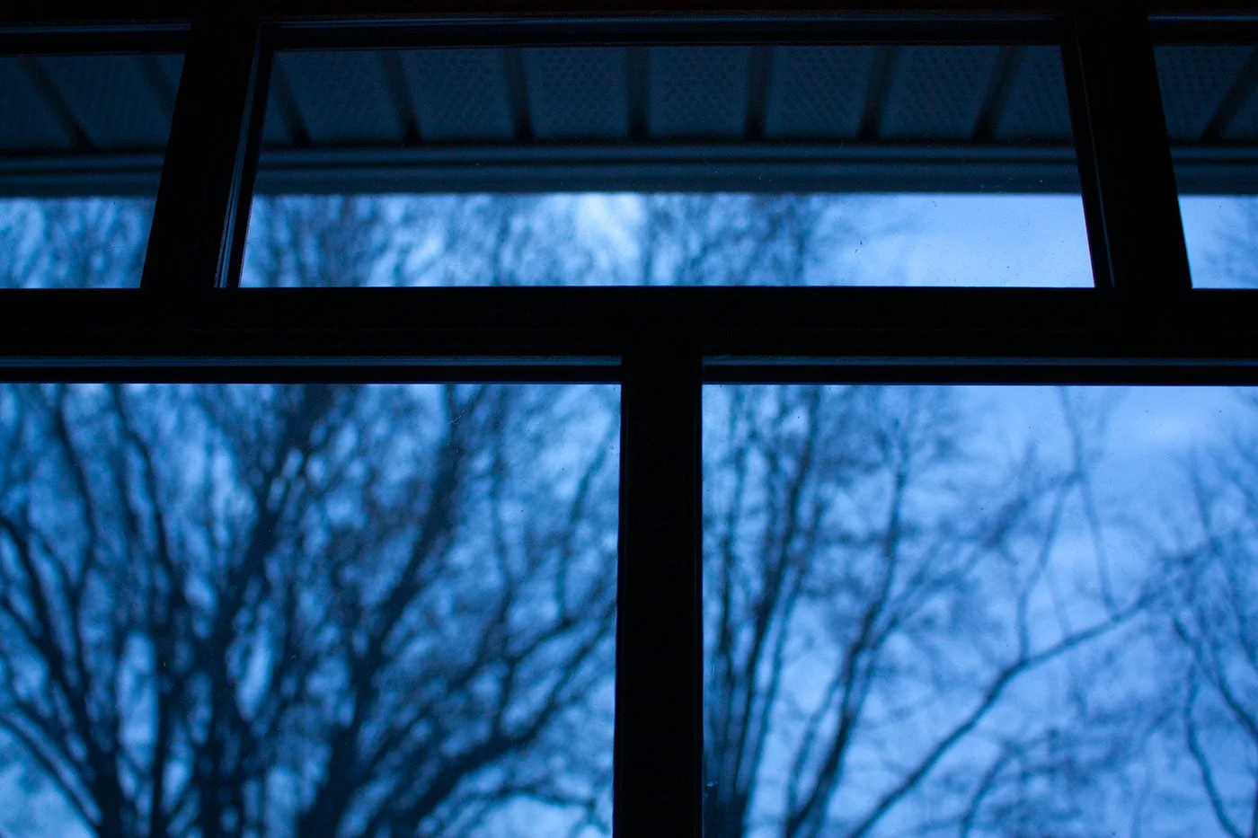 Winter window.jpg