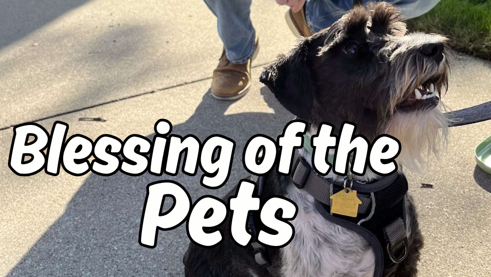 Blessing of the Pets