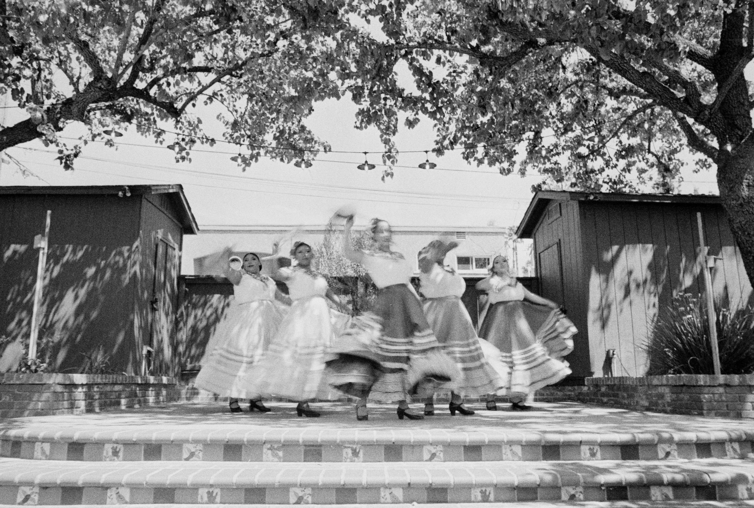 TriX400_02_135_AvocadoFestival2026_2026-04-22_09.jpg