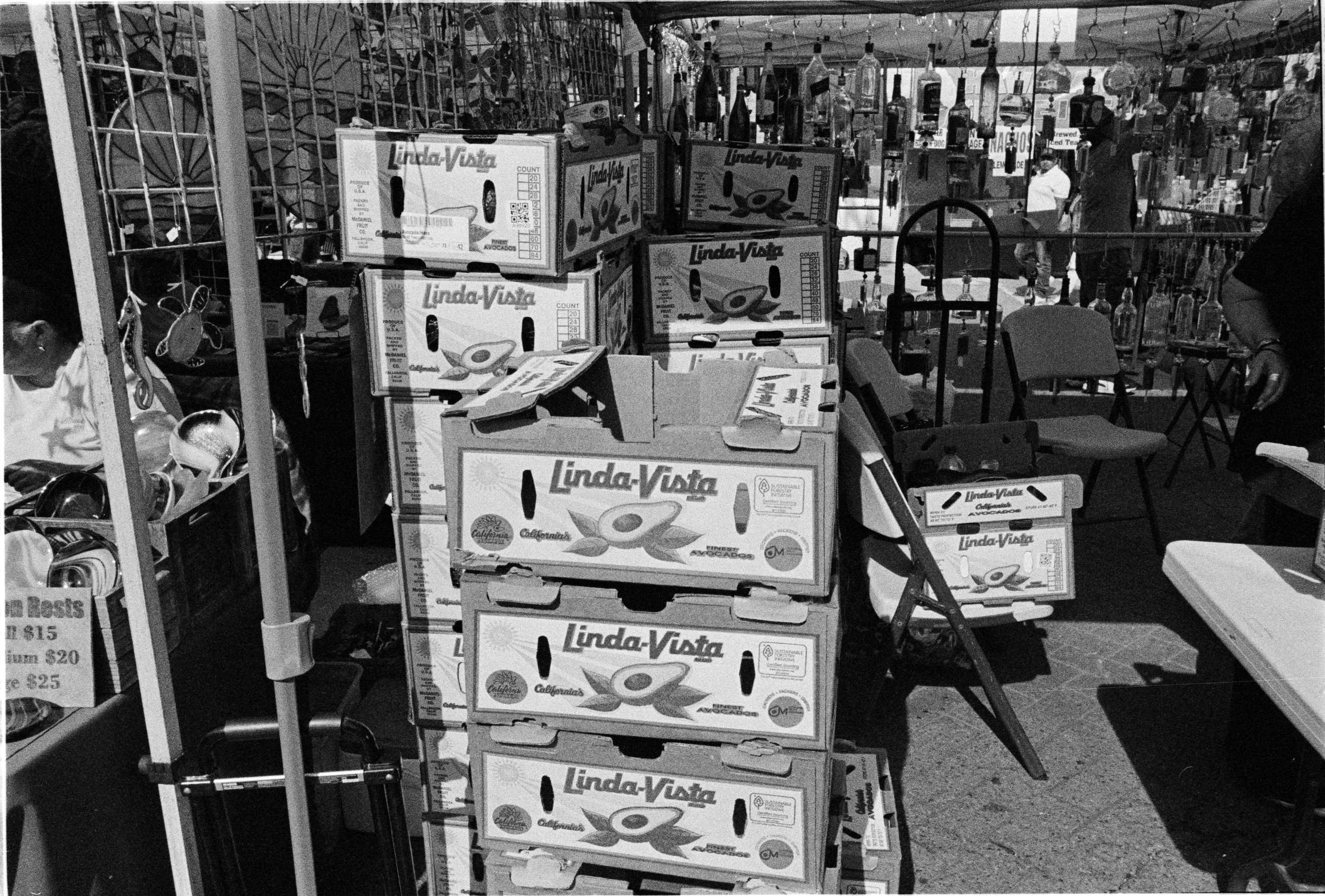 TriX400_01_135_AvocadoFestival2026_2026-04-22_02.jpg