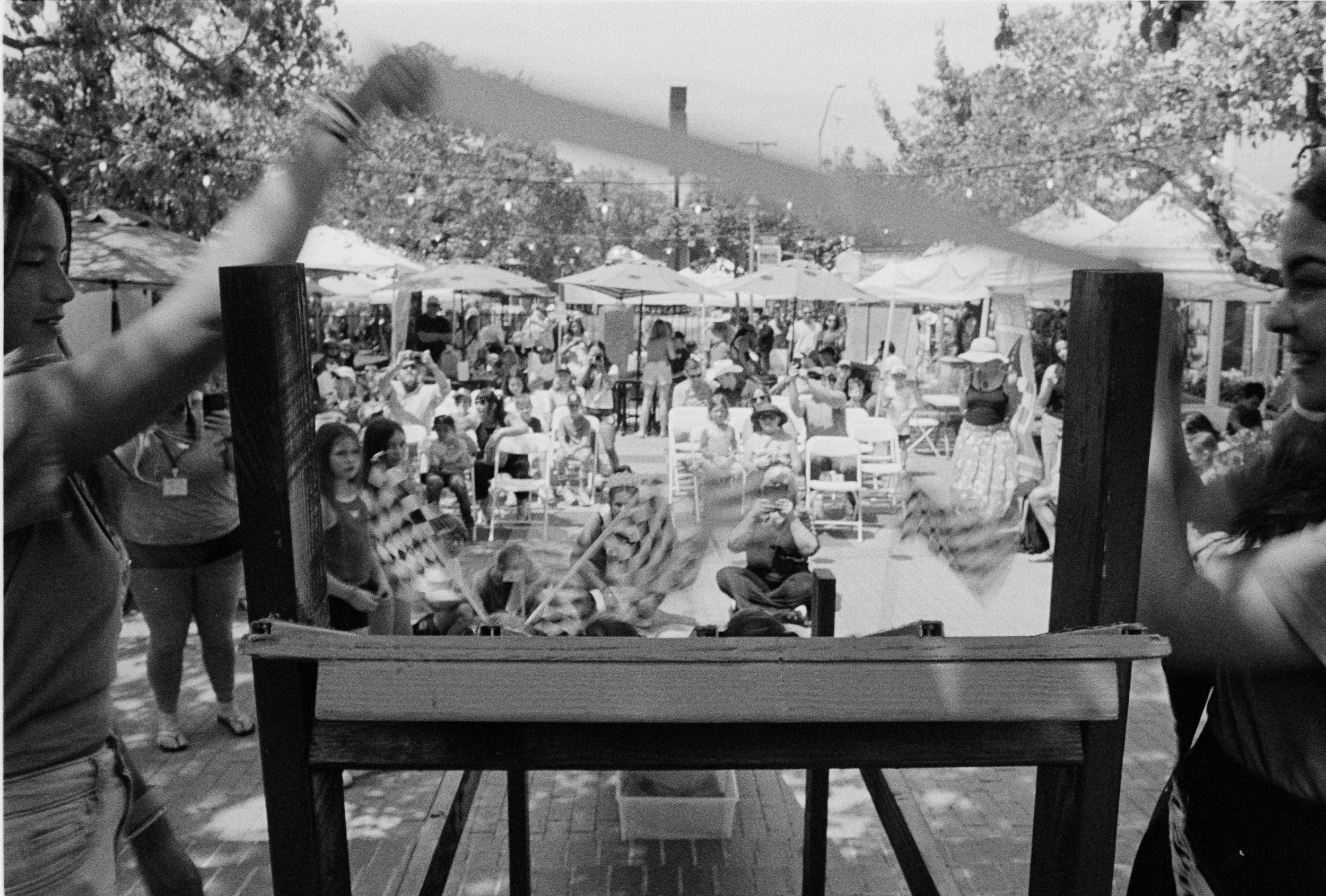 TriX400_01_135_AvocadoFestival2026_2026-04-22_09.jpg