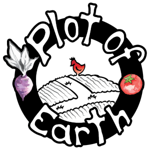 Plot of Earth