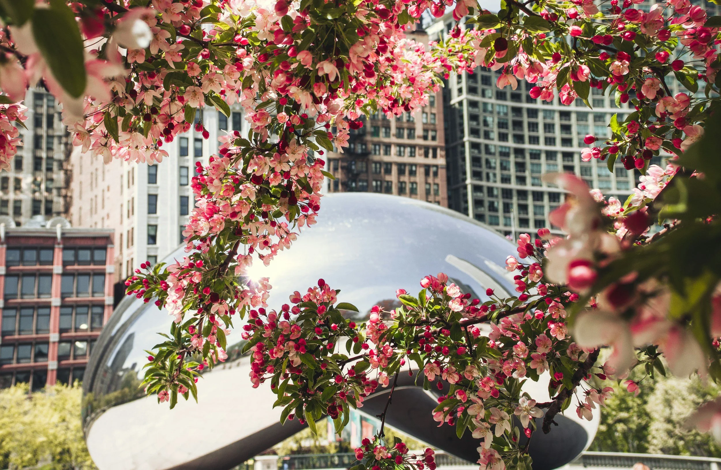 Why Professional Cleaning Is Essential After Chicago Winters