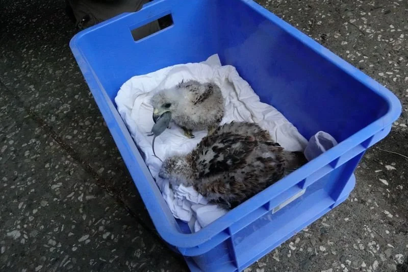 DSC04862 - Kopiek.JPG