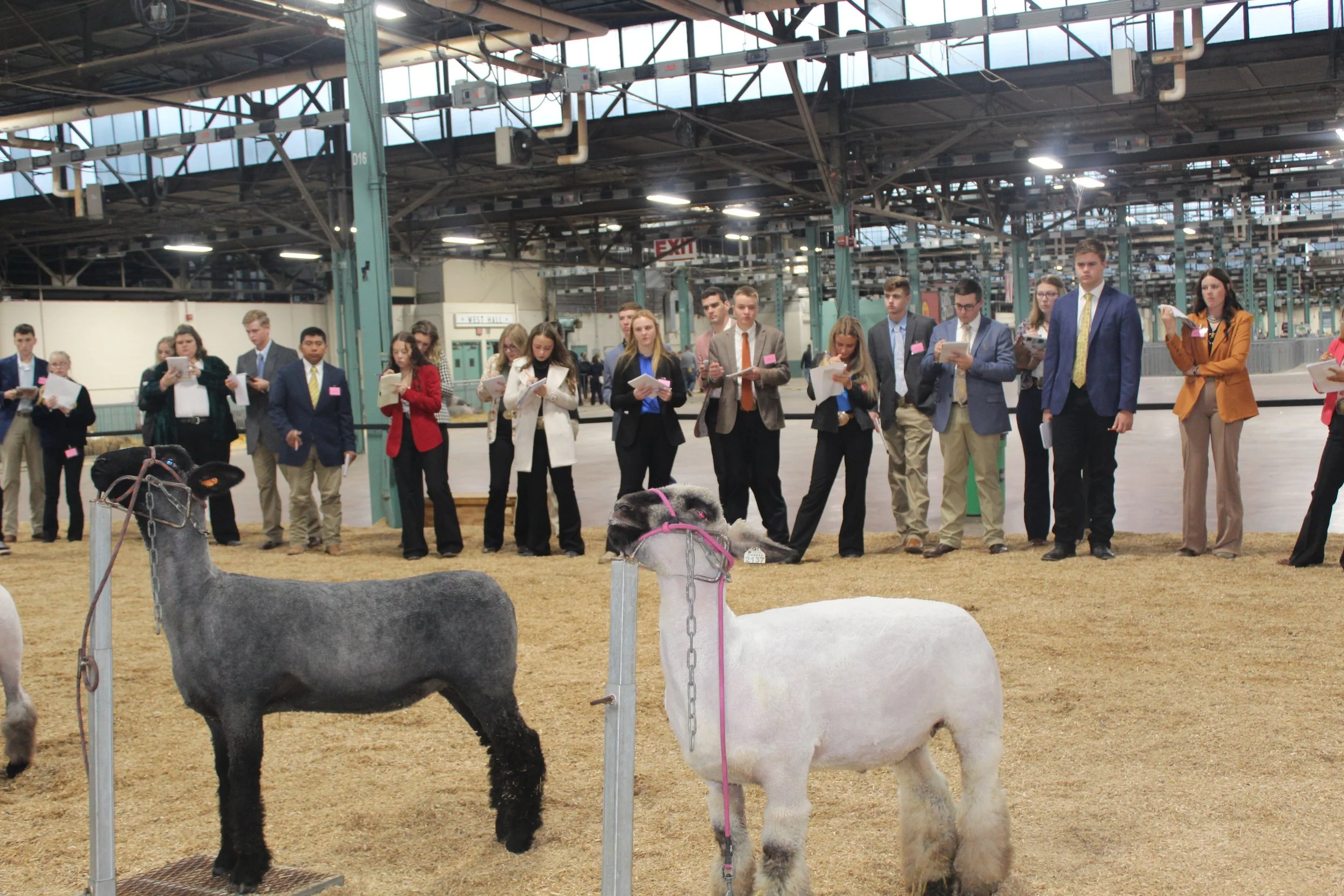 Contest | Join the Competition — Keystone International Livestock ...