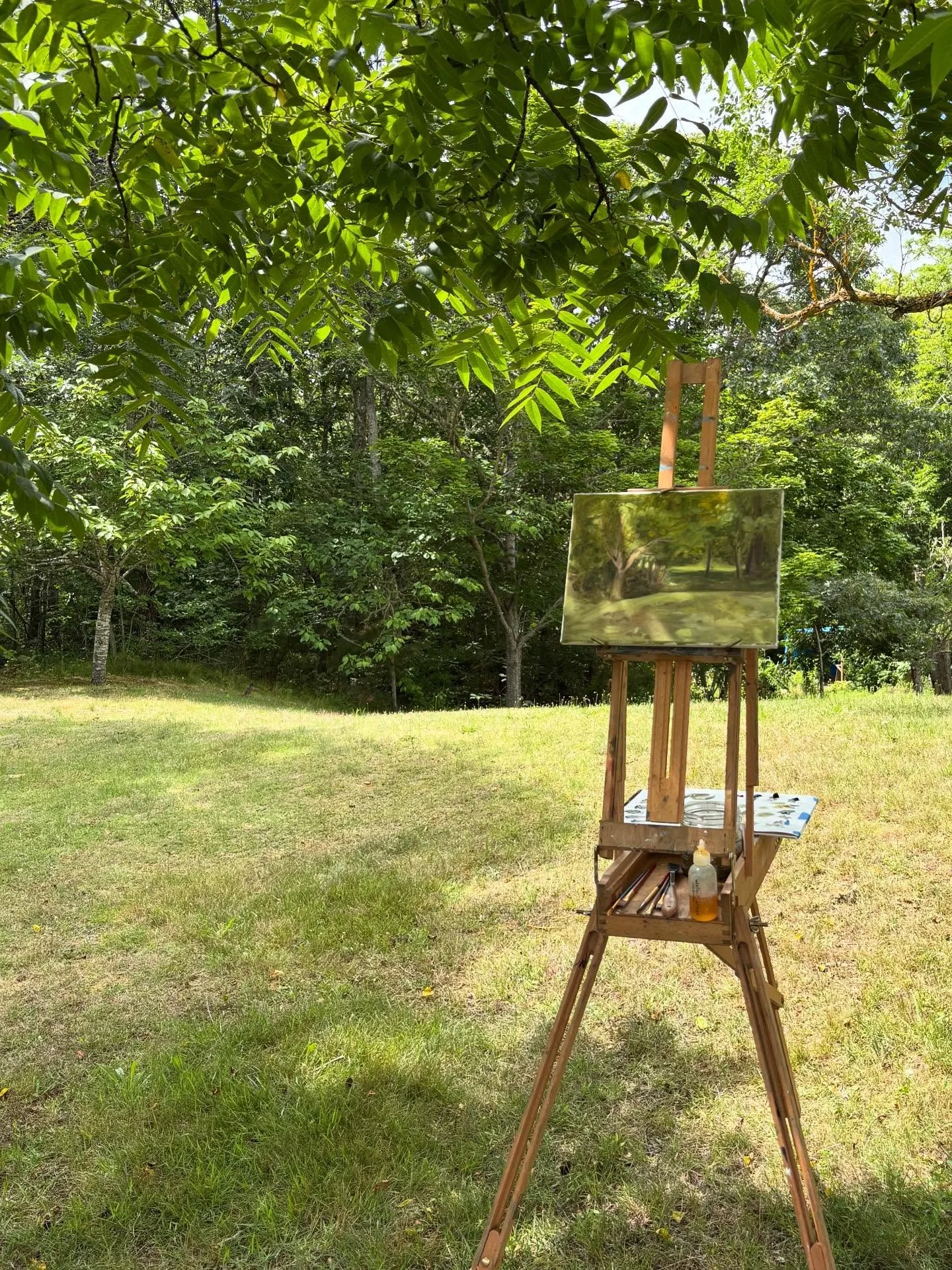 A week of plein air painting🌳✨🌊🌿

During my internship this summer at Castle Hill I get to take some classes while I&rsquo;m here. This week I participated in a plein air class taught by Donald Beal. It was an amazing experience and I feel my land
